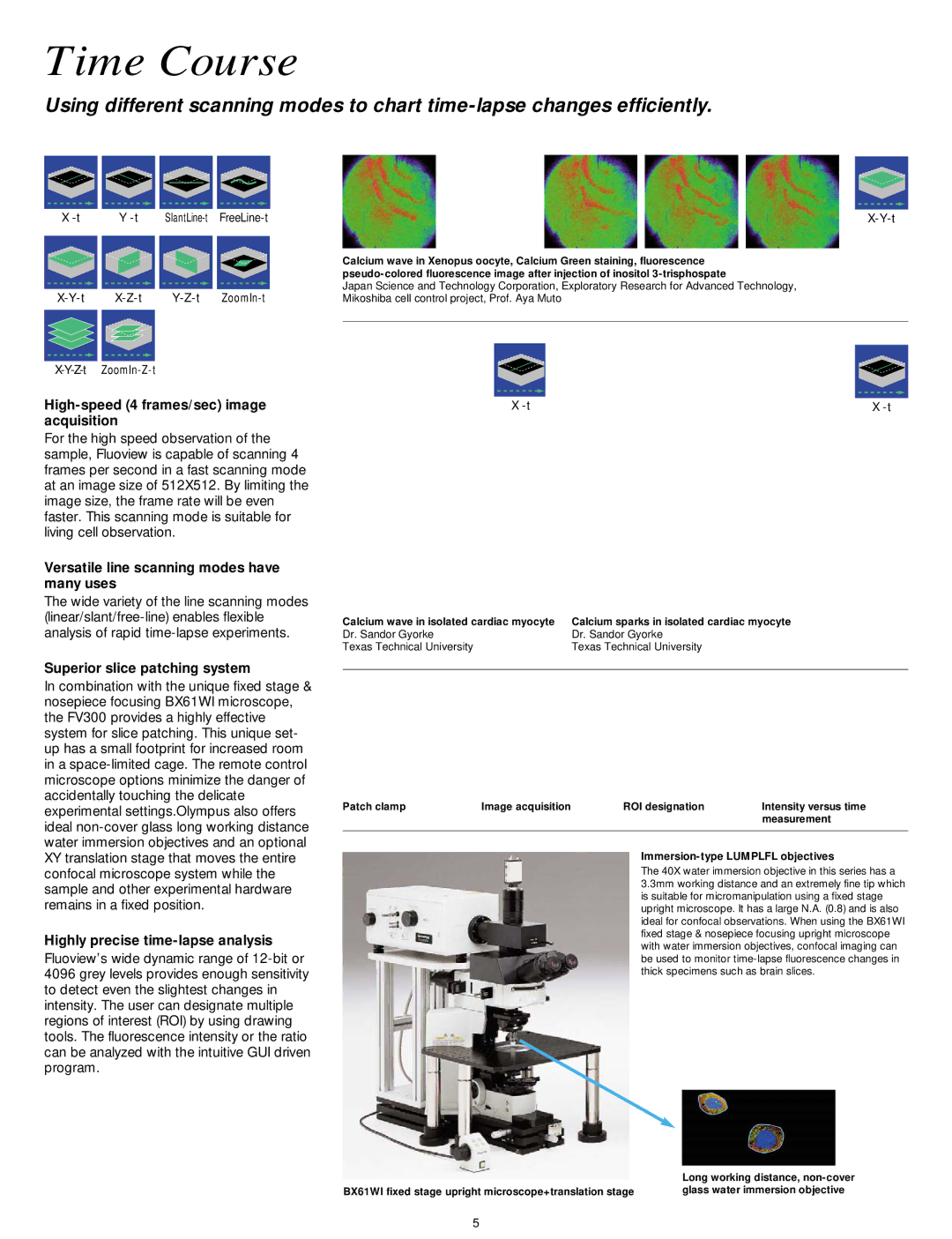 Olympus FV300 manual Time Course, High-speed 4 frames/sec image acquisition, Versatile line scanning modes have many uses 