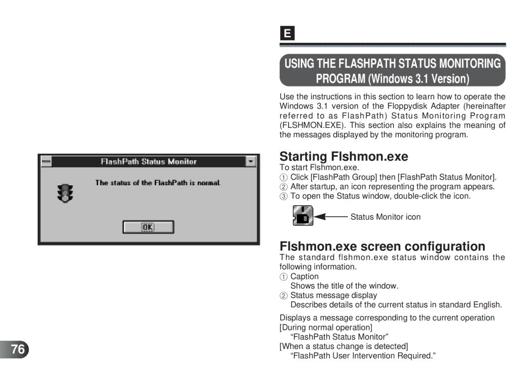 Olympus MAFP-1E manual Program Windows 3.1 Version, Starting Flshmon.exe, Flshmon.exe screen configuration 