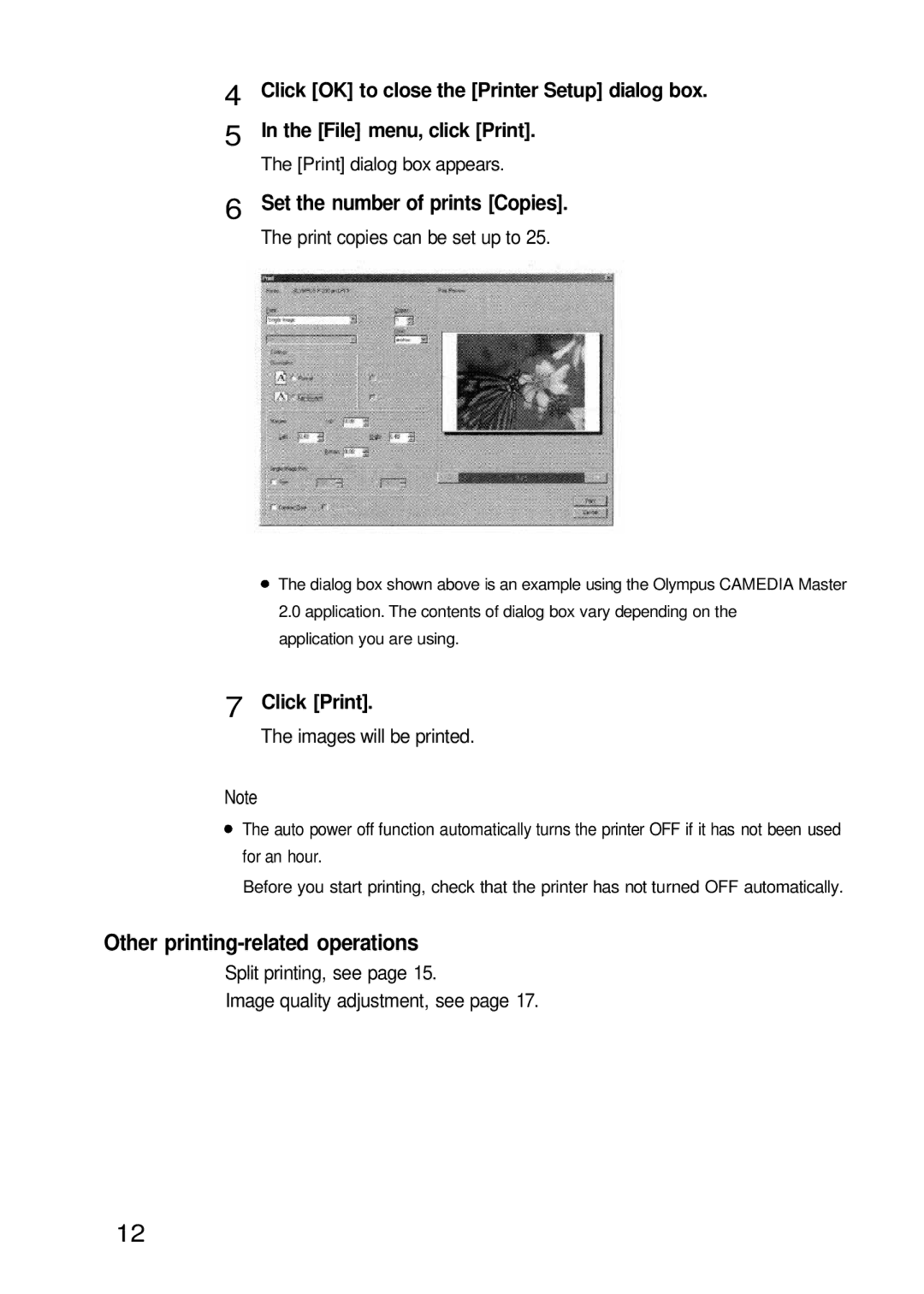 Olympus P-200 manual Set the number of prints Copies, Click Print 