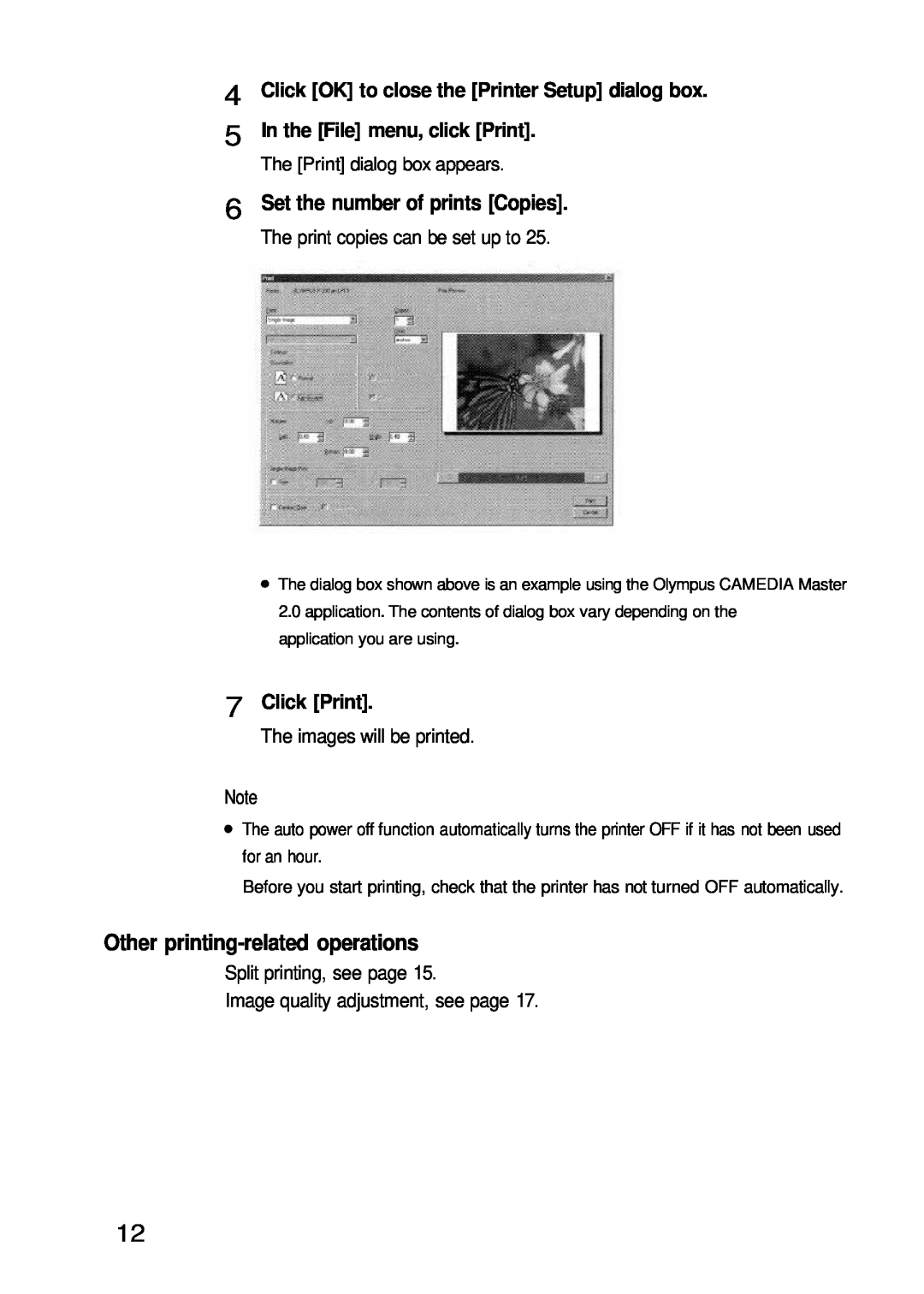 Olympus P-200 manual Other printing-related operations, Click OK to close the Printer Setup dialog box, Click Print 