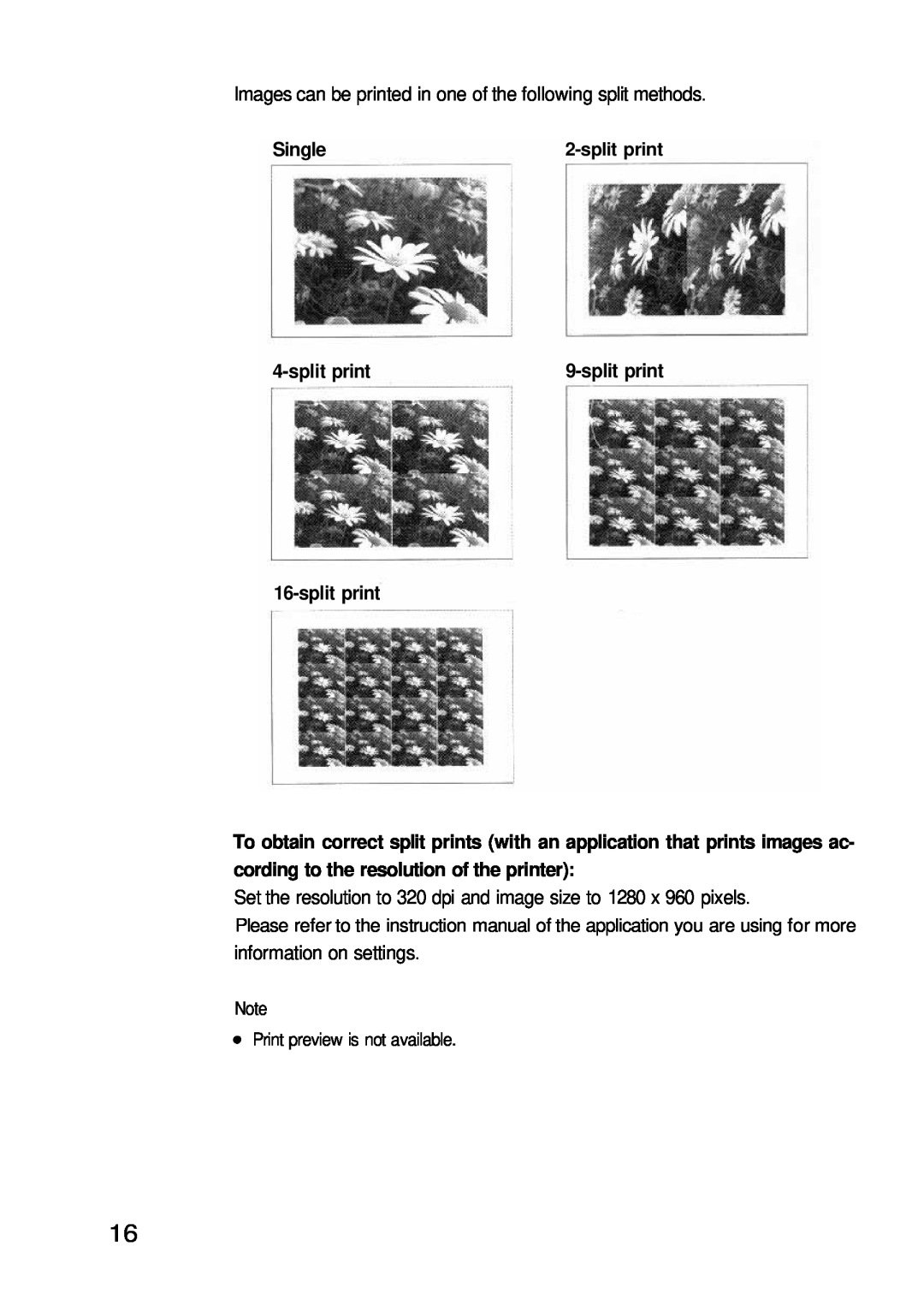 Olympus P-200 Images can be printed in one of the following split methods, Single, split print, information on settings 