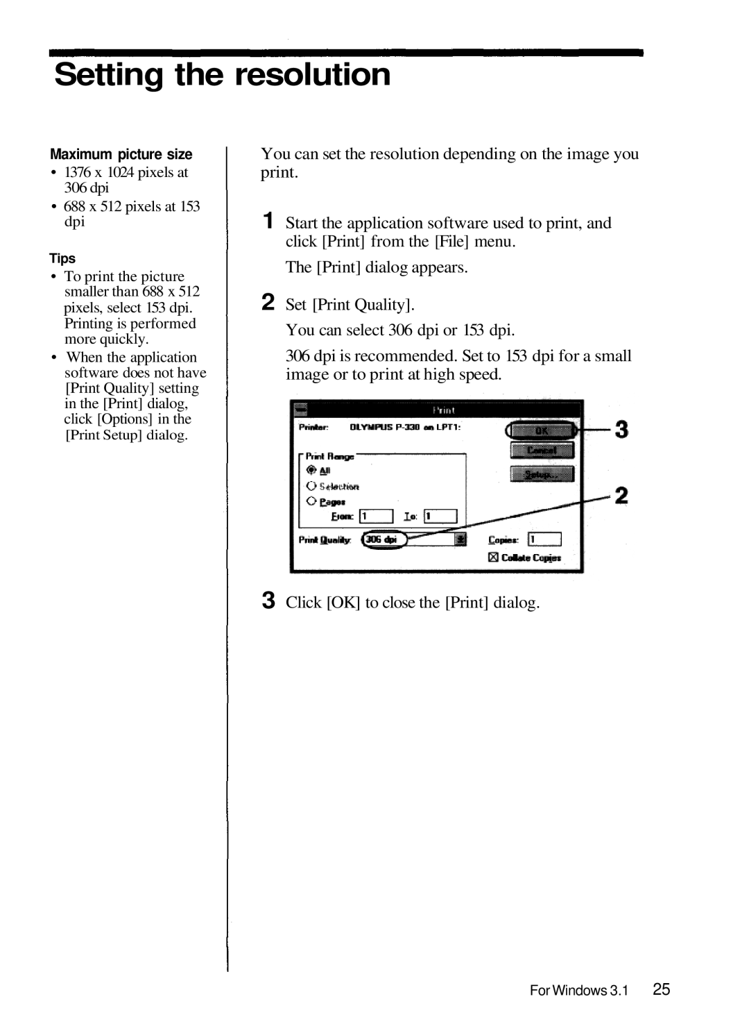 Olympus P-330 manual 1376 x 1024 pixels at 306 dpi 688 x 512 pixels at 153 dpi 