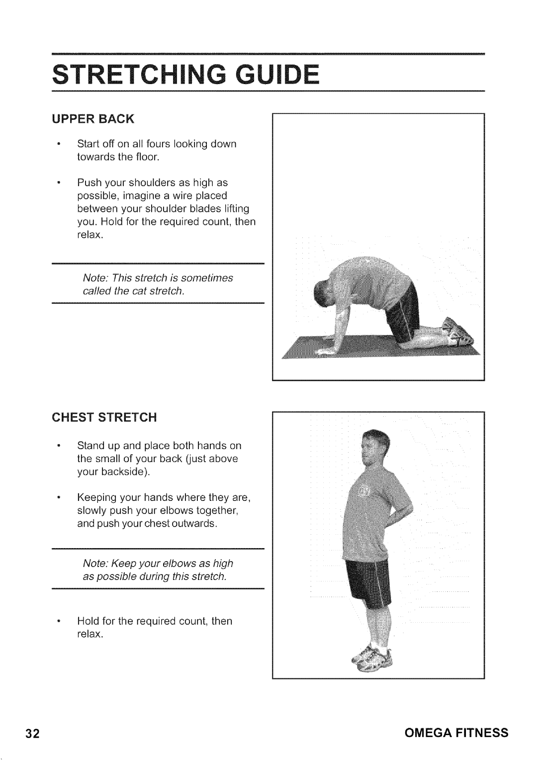 Omega CO-BR130 manual Chest Stretch, Upper Back 