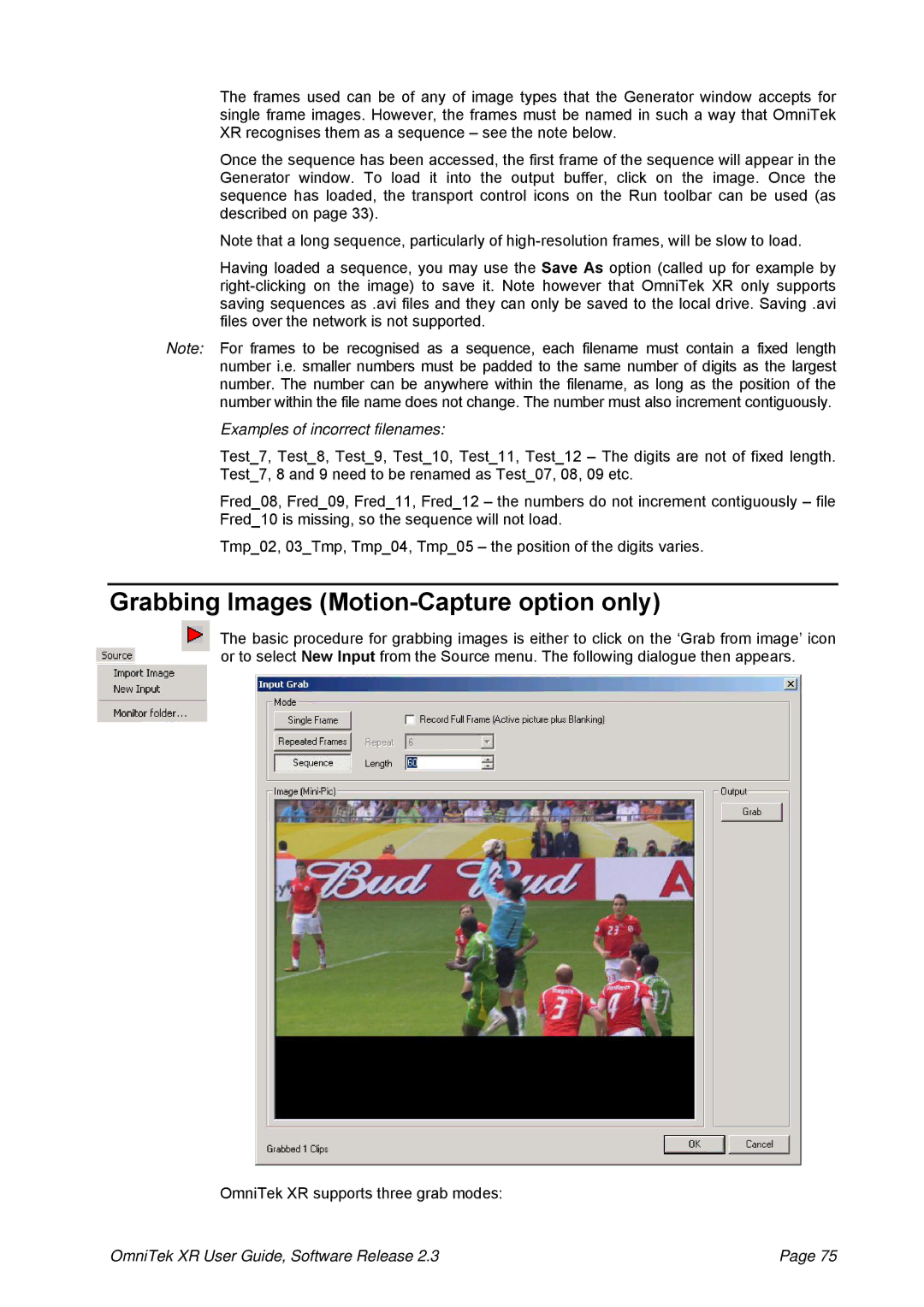 OmniTek 2.3 manual Grabbing Images Motion-Capture option only, Examples of incorrect filenames 