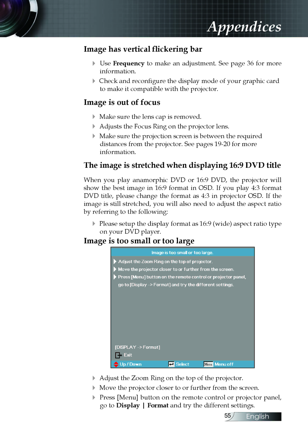 Optoma Technology EX520, EX530, ES522RFBA manual Image has vertical flickering bar 