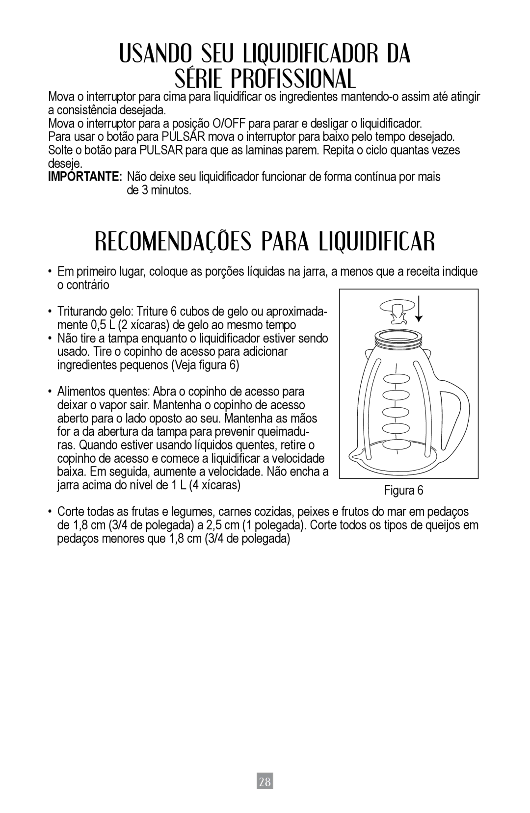 Oster BPST02-B-050 instruction manual Usando SEU Liquidificador DA Série Profissional, Recomendações Para Liquidificar 