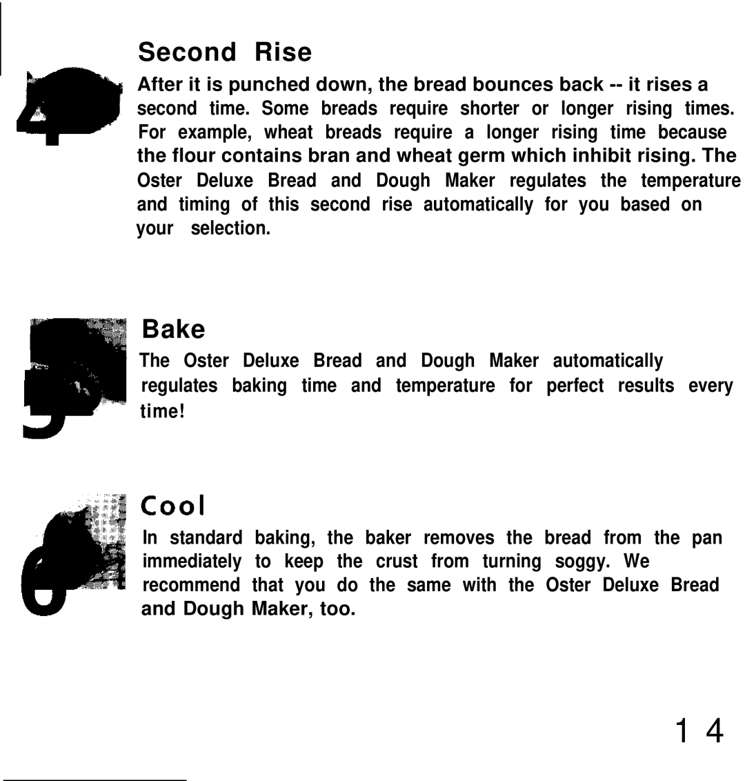 Oster deluxe bread and dough maker manual Second Rise 