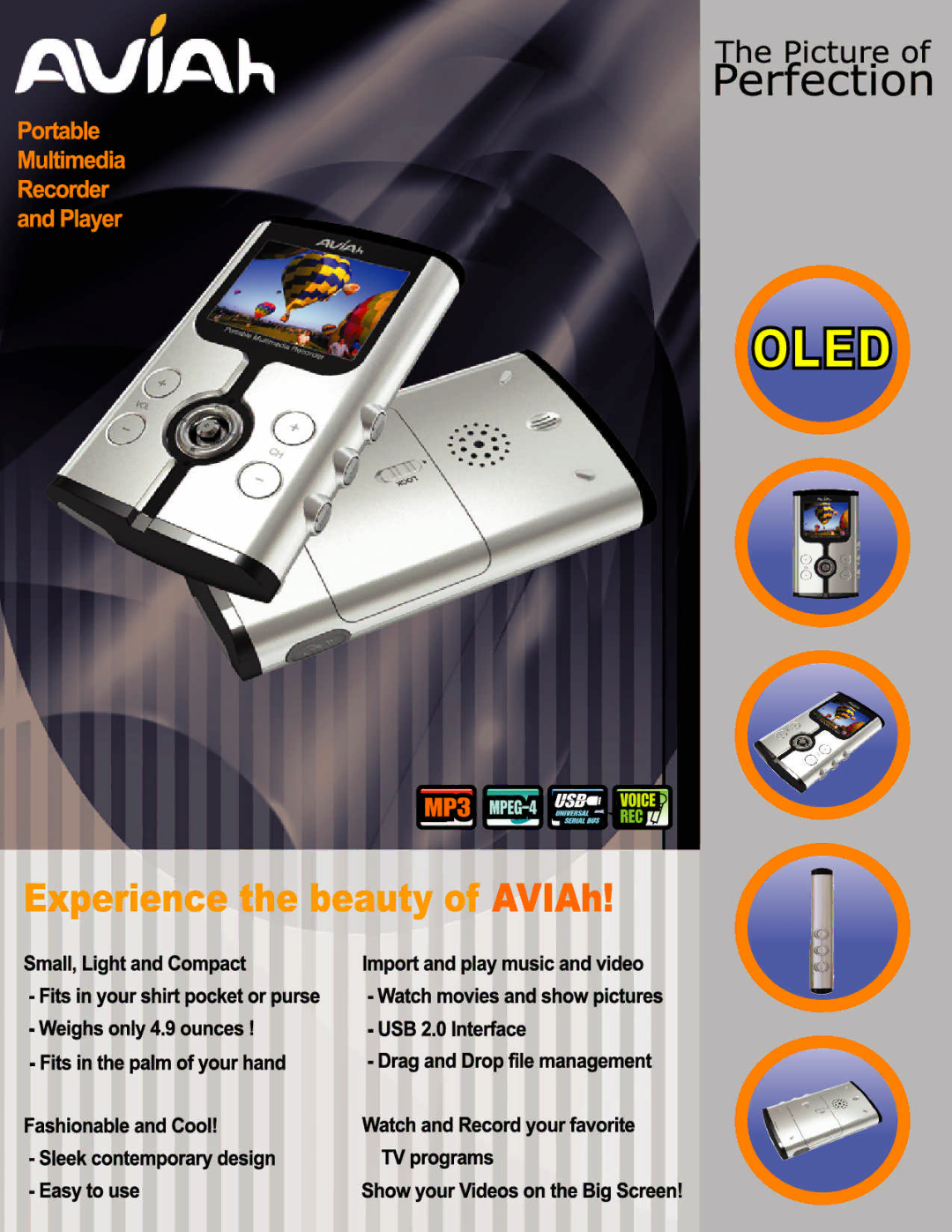 Ovideon Portable Multimedia Recorder and Player manual 