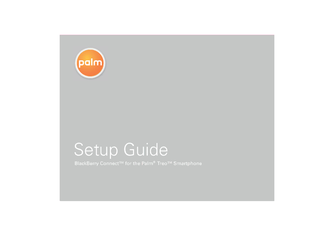 Palm 406-10618-00 setup guide Setup Guide 