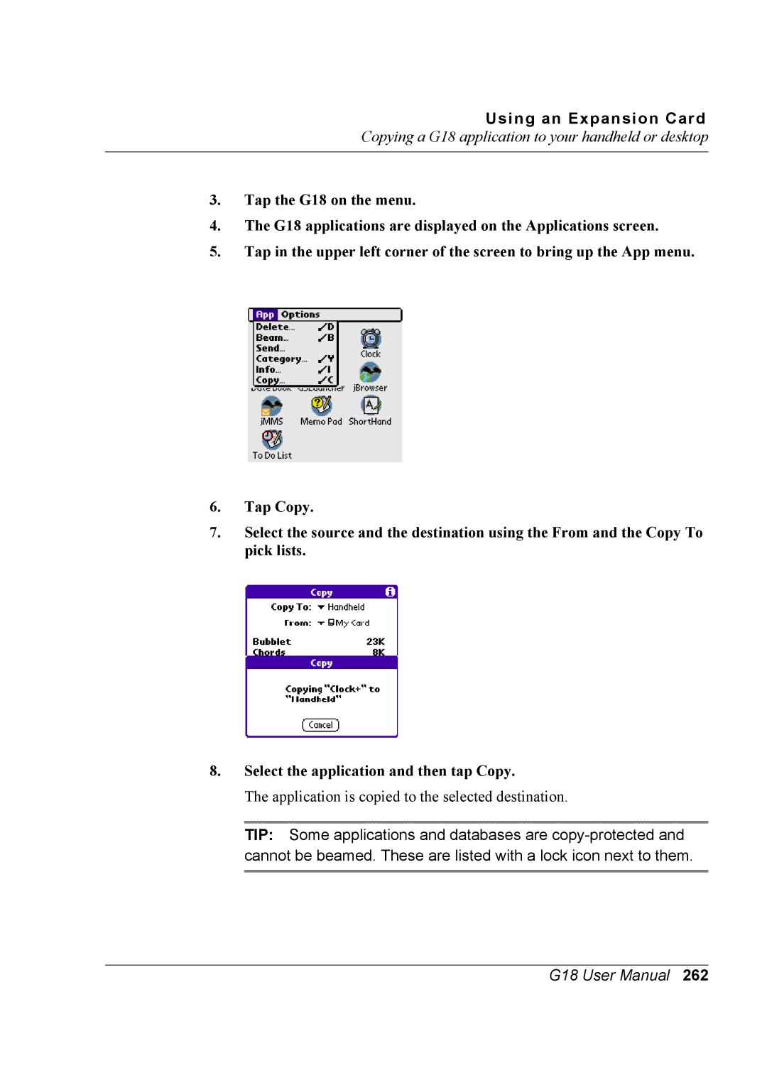 Palm G18 user manual Application is copied to the selected destination 