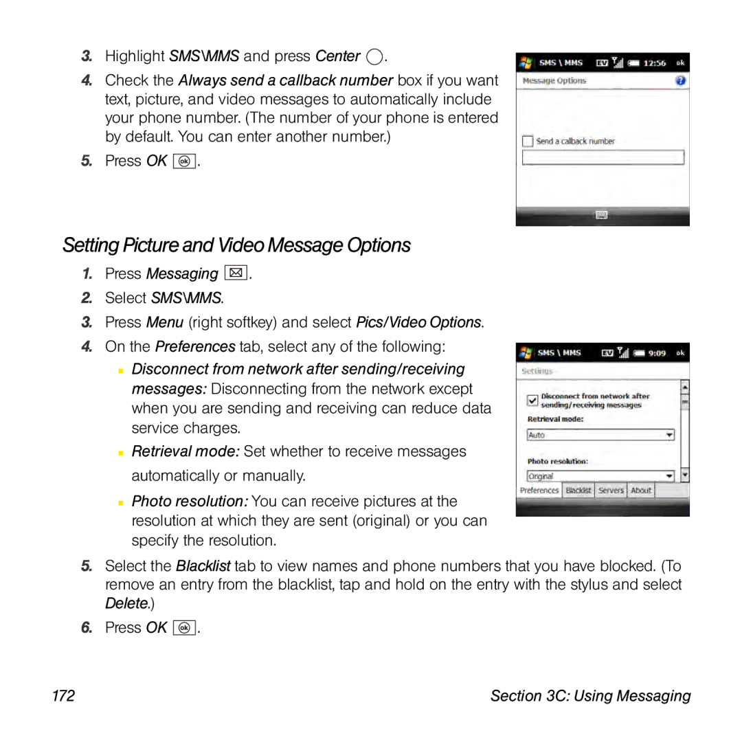 Palm TREOPROBLKSPT manual Setting Picture and Video Message Options 