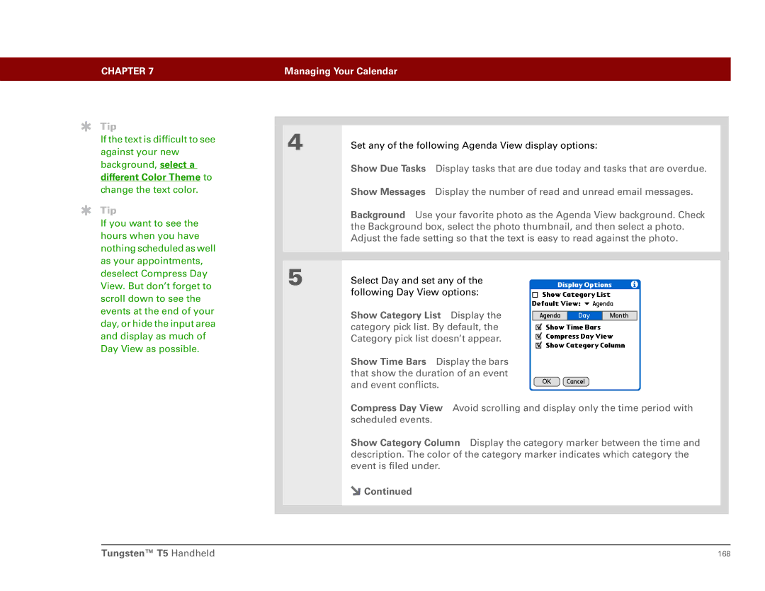 Palm Tungsten T5 manual Different Color Theme to 