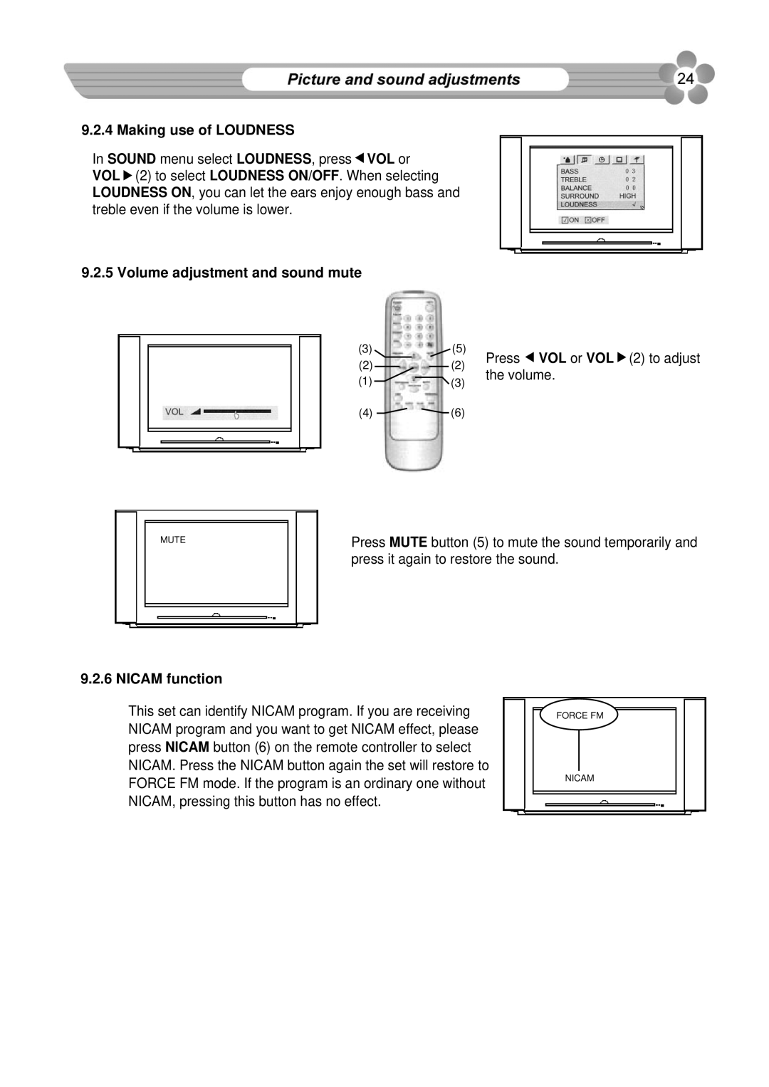 Palsonic 76WSHD owner manual Making use of Loudness, Volume adjustment and sound mute, Nicam function 