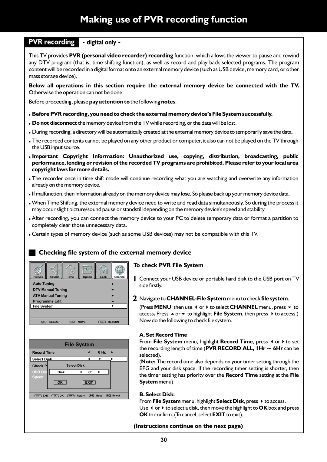 Palsonic TFTV325FL Making use of PVR recording function, Digital only, Checking file system of the external memory device 