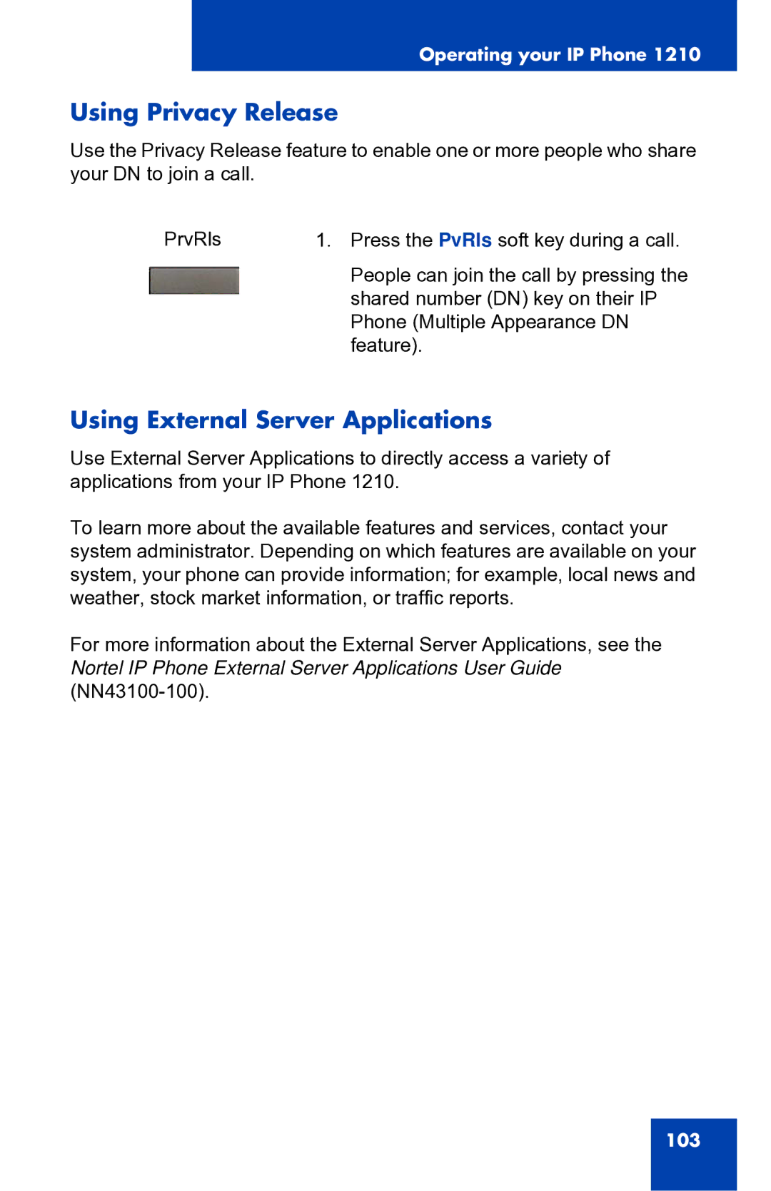 Panasonic 1210 manual Using Privacy Release, Using External Server Applications 