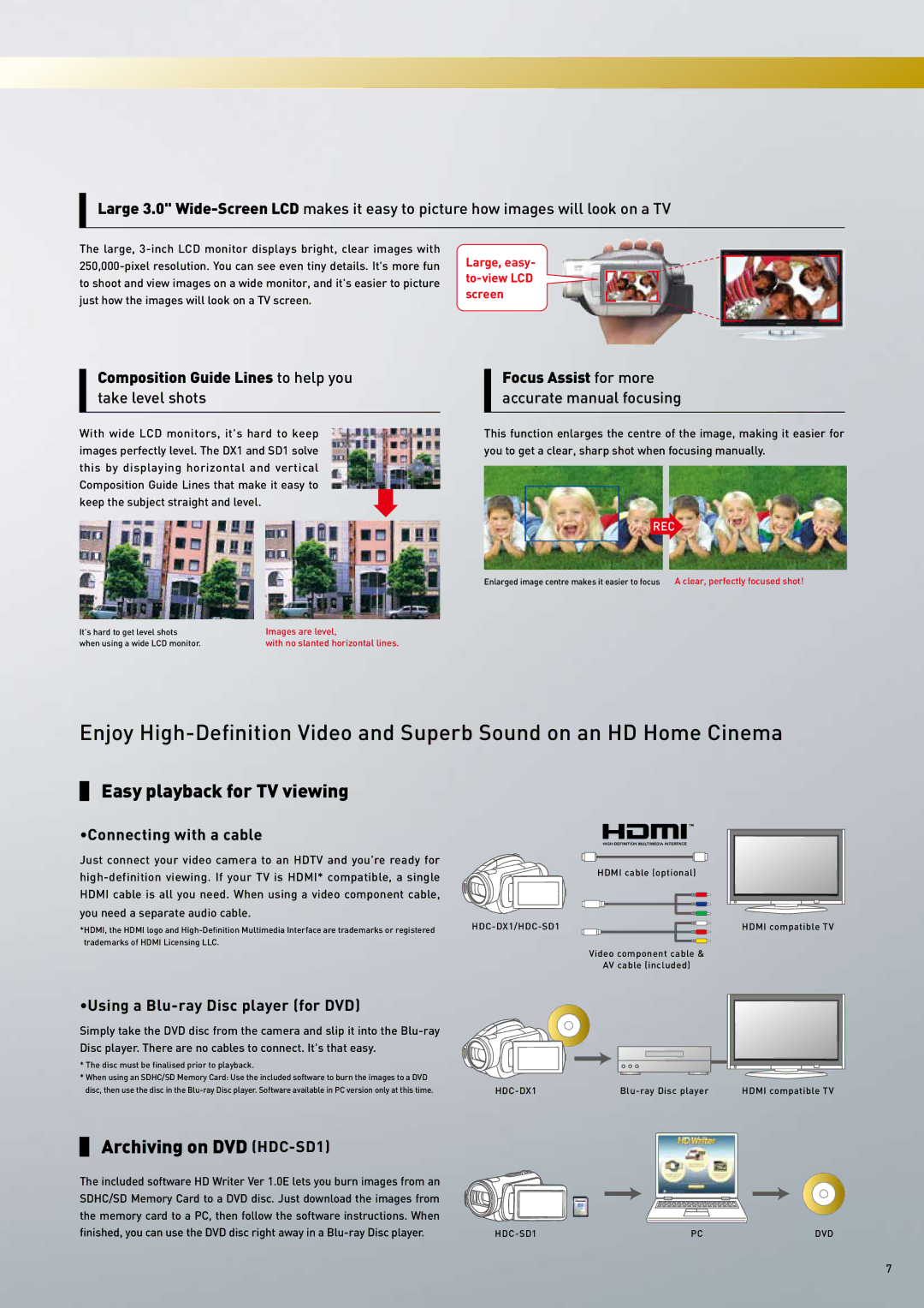 Panasonic 2007 Composition Guide Lines to help you take level shots, Focus Assist for more accurate manual focusing 