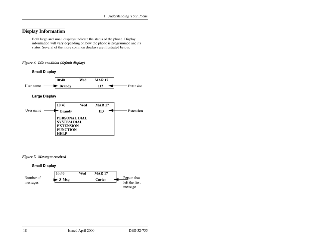 Panasonic 44-Series manual Display Information, Large Display 