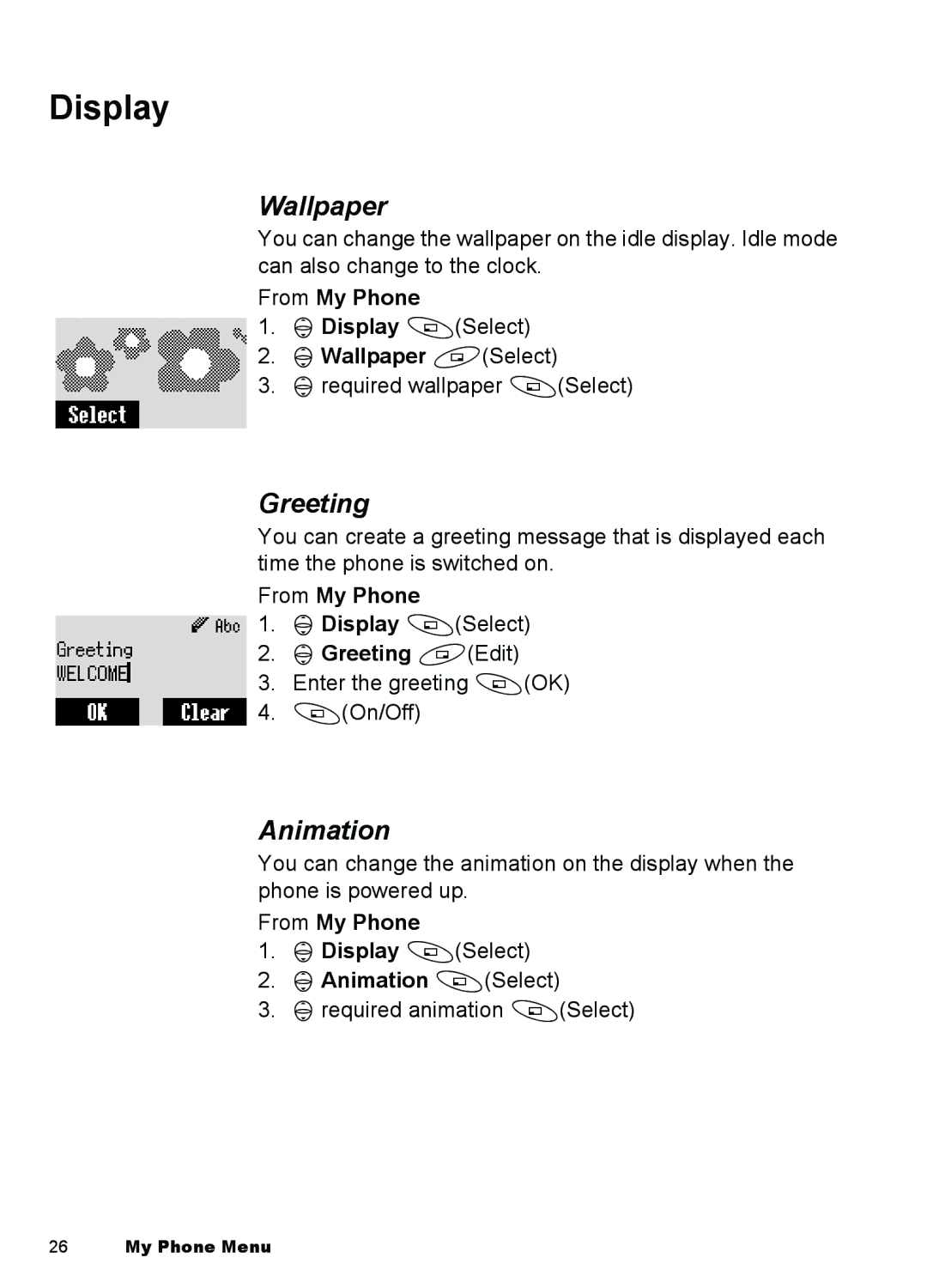 Panasonic A101, A100 manual Display, Wallpaper, Greeting, Animation 