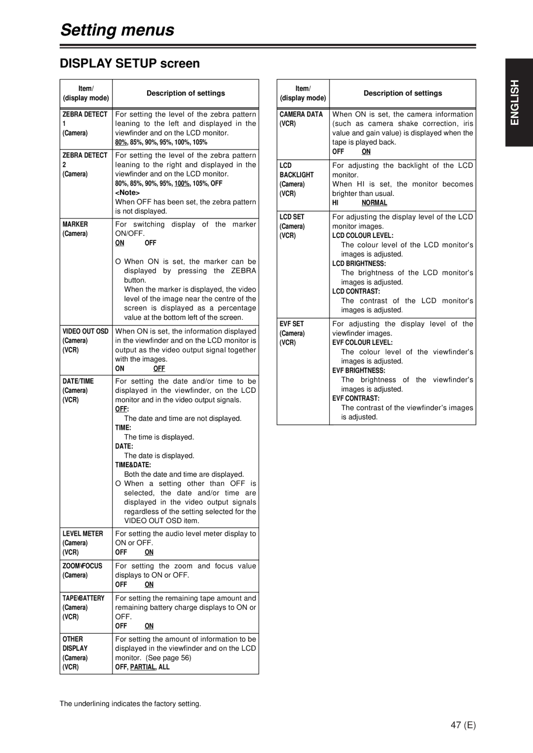 Panasonic AG-DVX100A manual Display Setup screen 