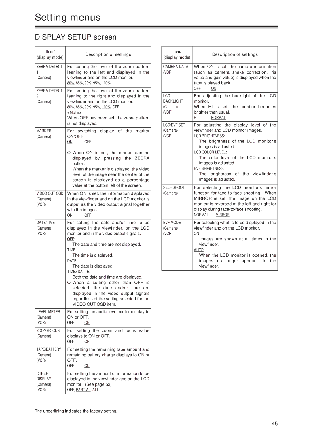 Panasonic AG-DVX100P manual Display Setup screen 