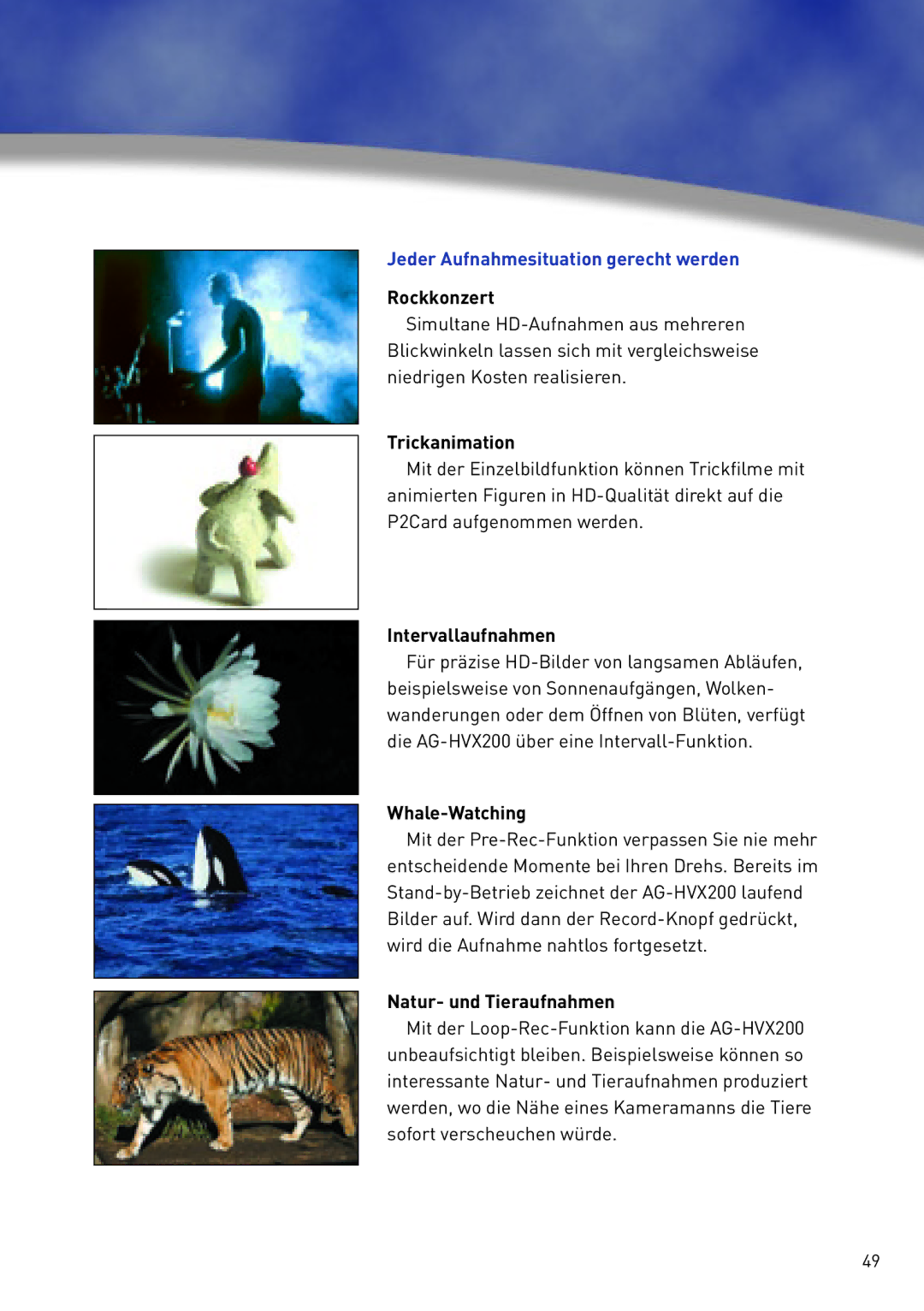 Panasonic AG-HVX200 manual Rockkonzert, Trickanimation, Whale-Watching 