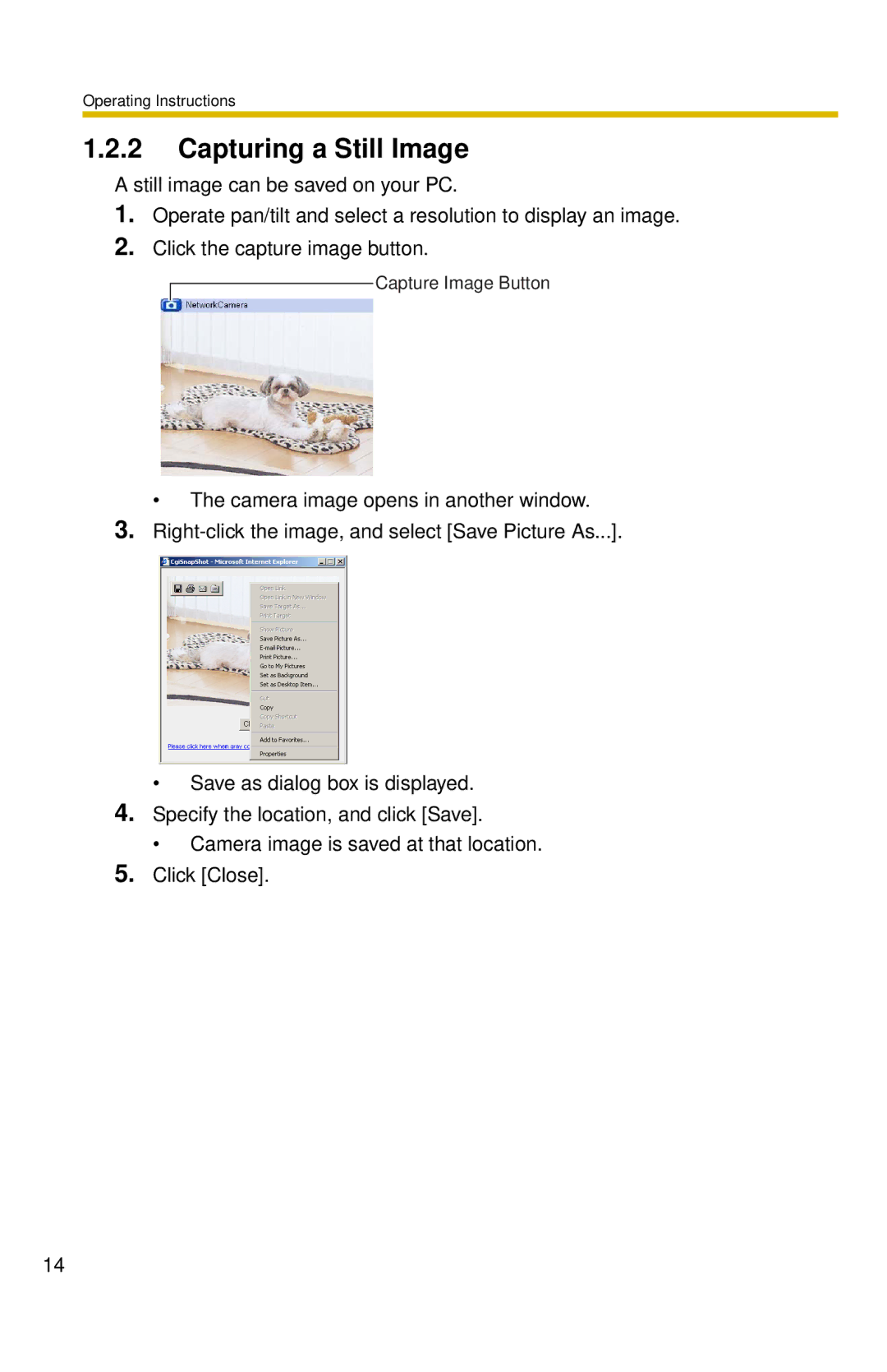 Panasonic BL-C10 operating instructions Capturing a Still Image 