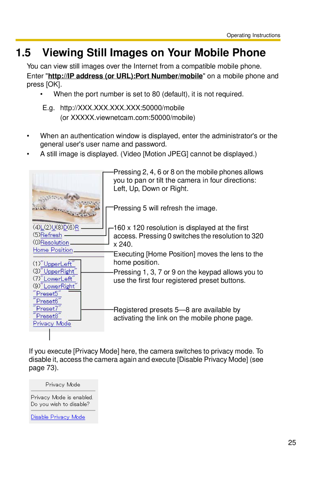 Panasonic BL-C10 operating instructions Viewing Still Images on Your Mobile Phone 