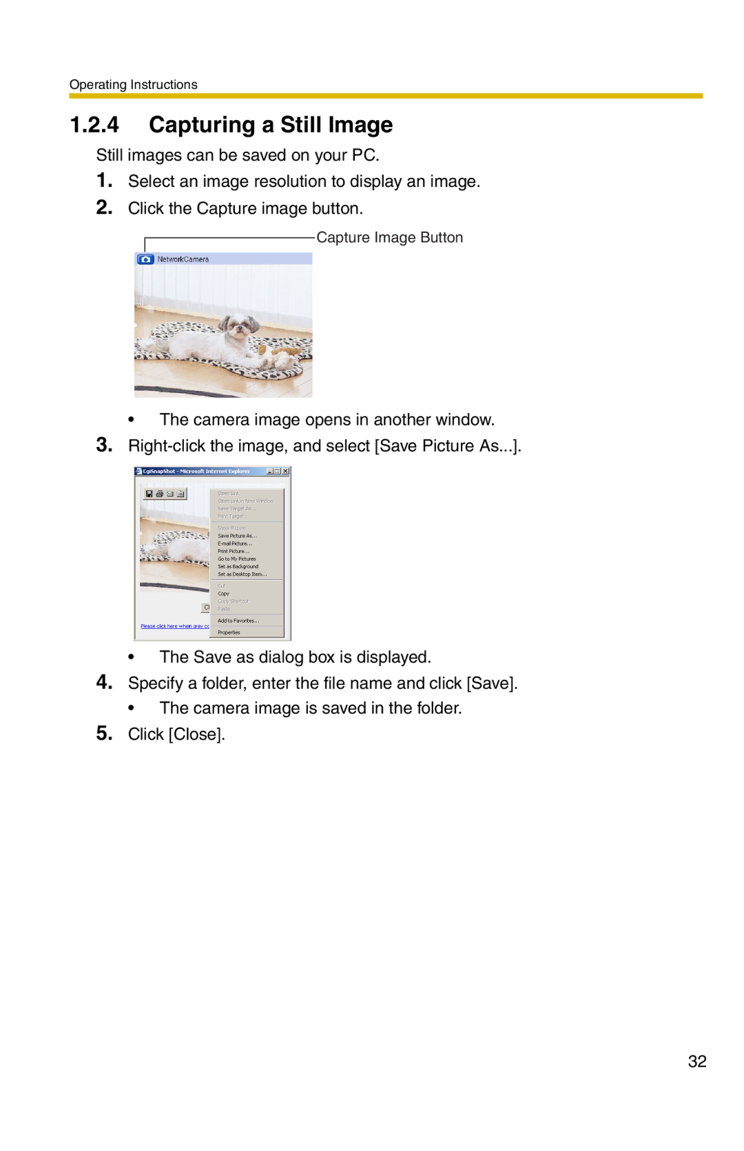 Panasonic BL-C20 operating instructions Capturing a Still Image 