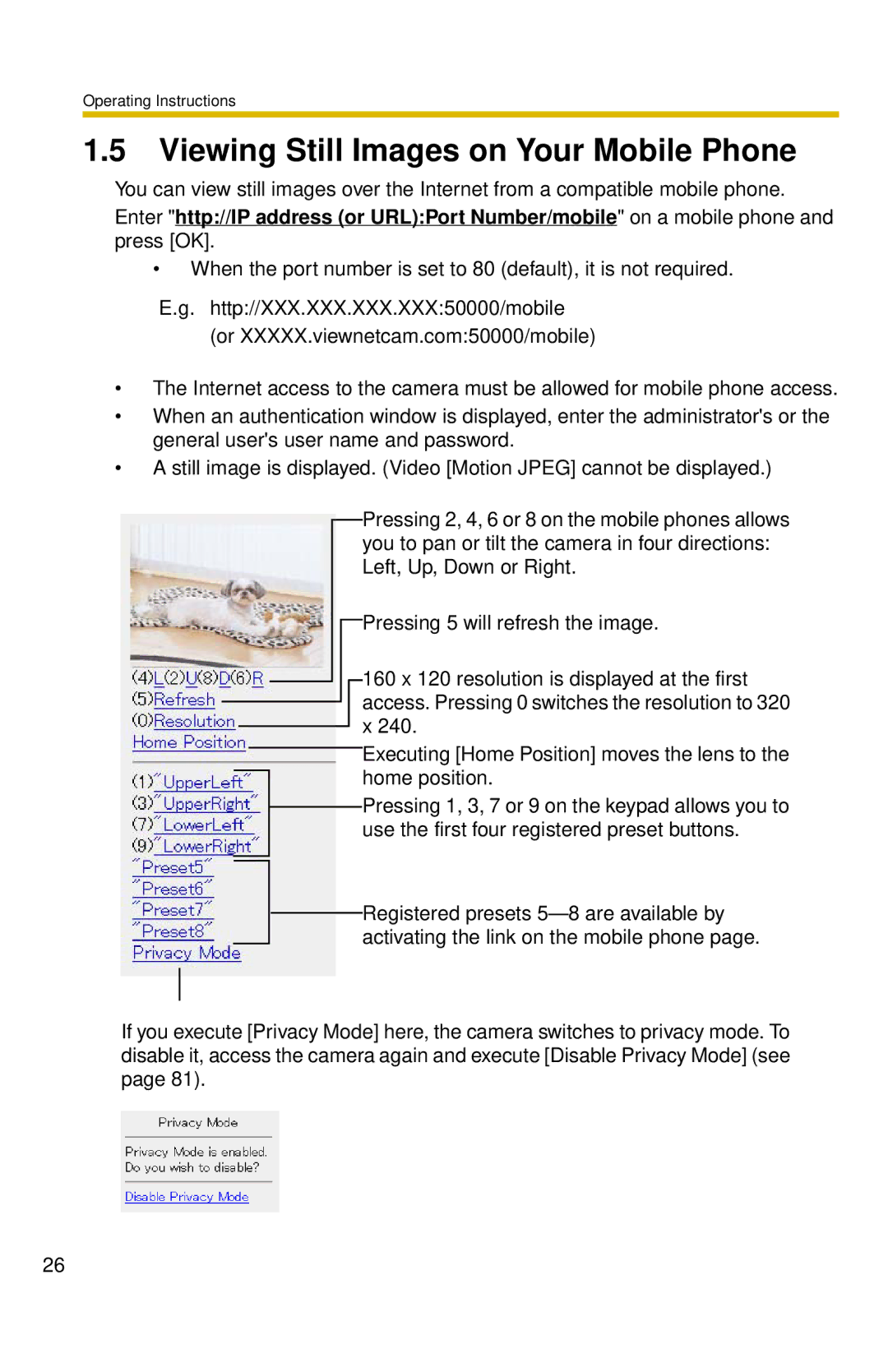 Panasonic BL-C30 operating instructions Viewing Still Images on Your Mobile Phone 