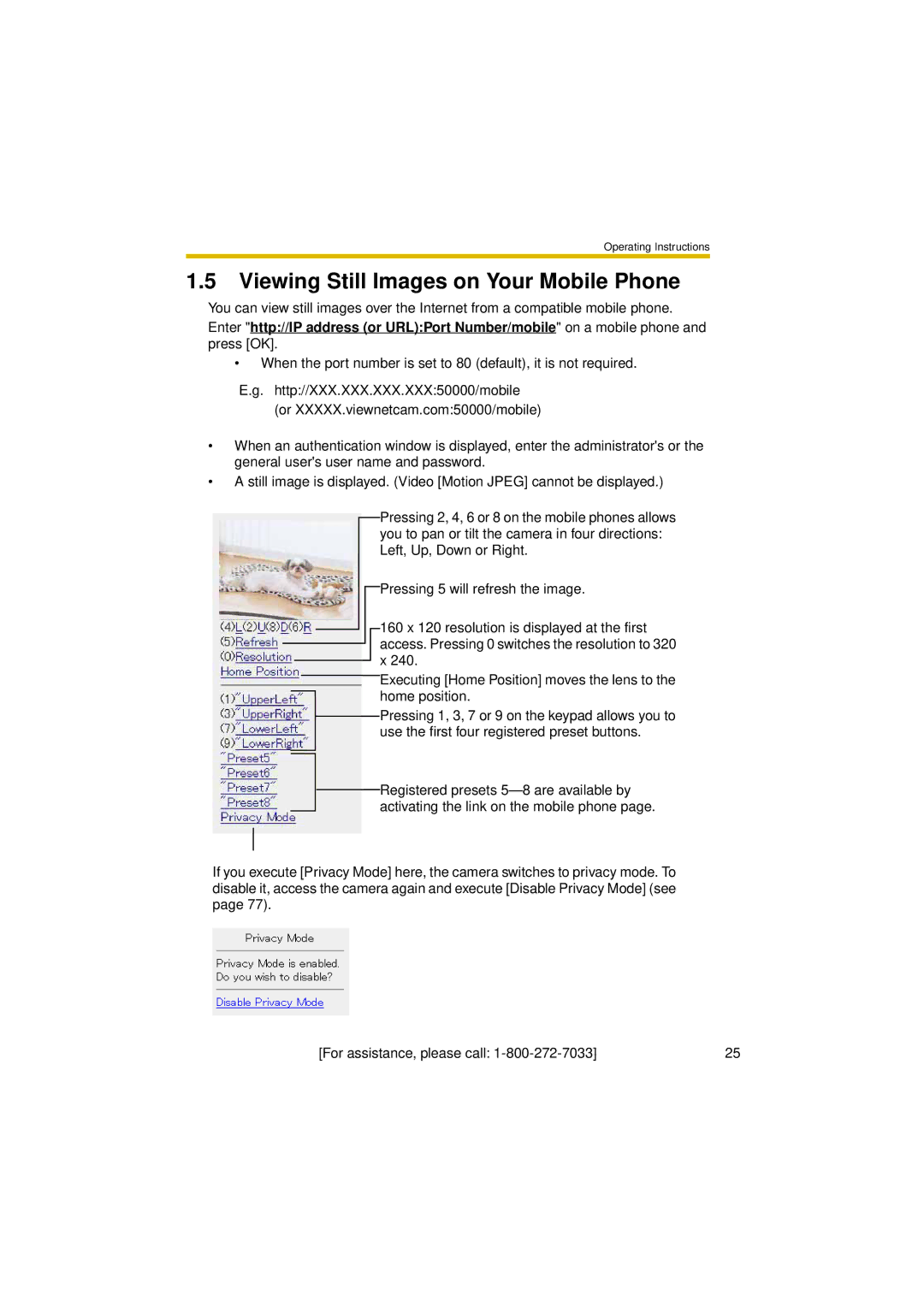 Panasonic BL-C30A operating instructions Viewing Still Images on Your Mobile Phone 