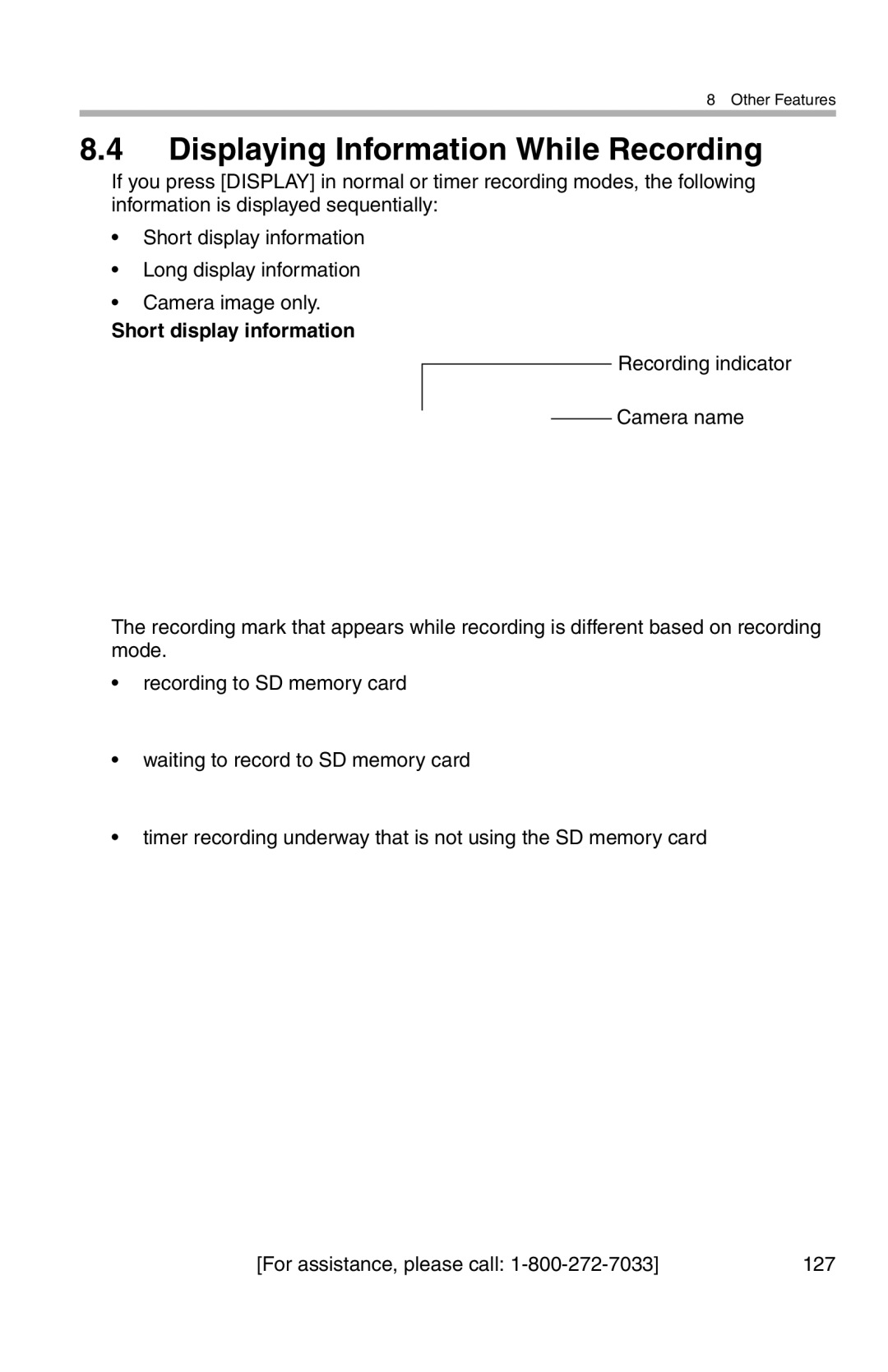 Panasonic BL-WV10A operating instructions Displaying Information While Recording 