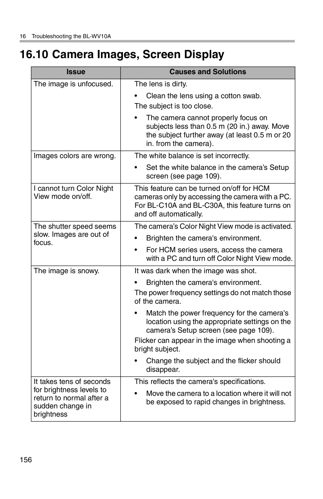 Panasonic BL-WV10A operating instructions Camera Images, Screen Display 