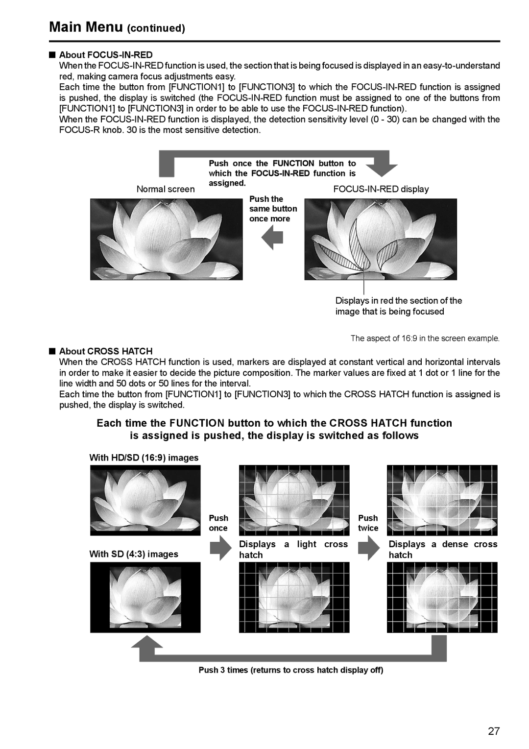 Panasonic BT-LT80W manual About FOCUS-IN-RED, With HD/SD 169 images 