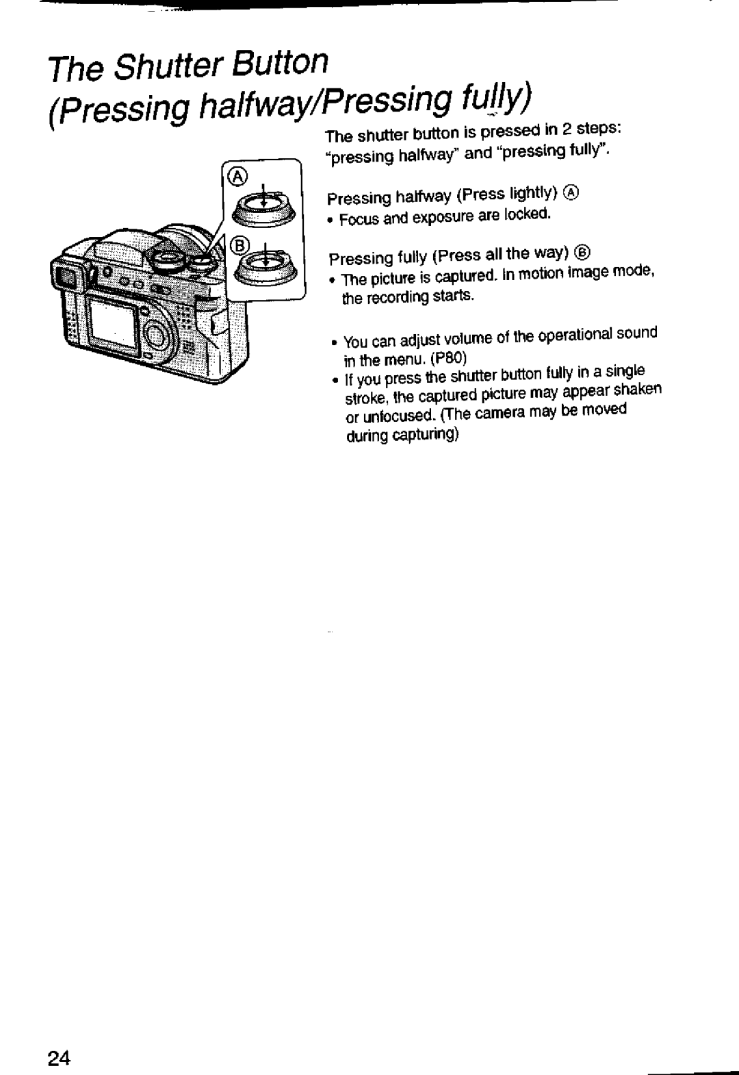 Panasonic DMC-FZ1A manual 