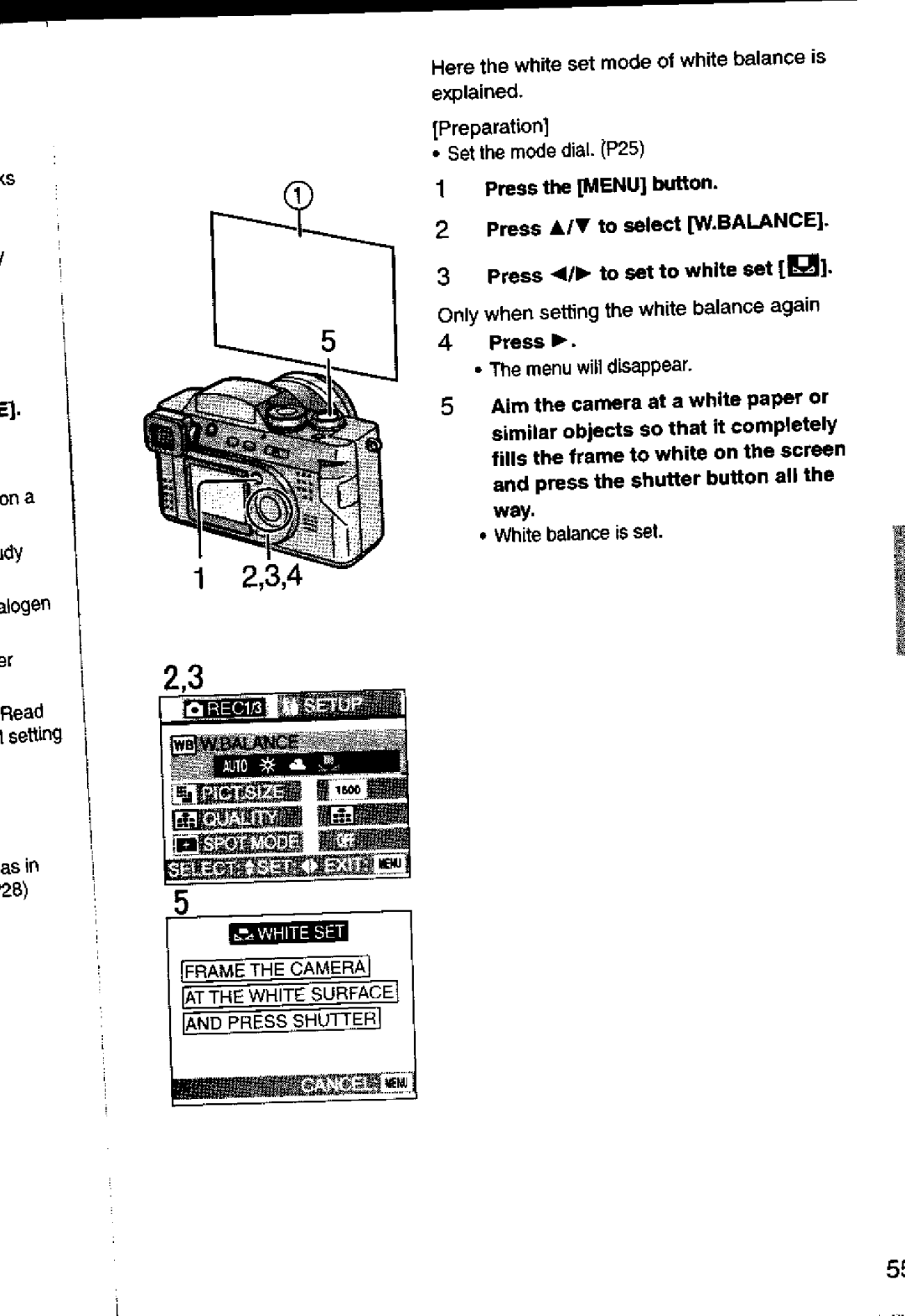 Panasonic DMC-FZ1A manual 