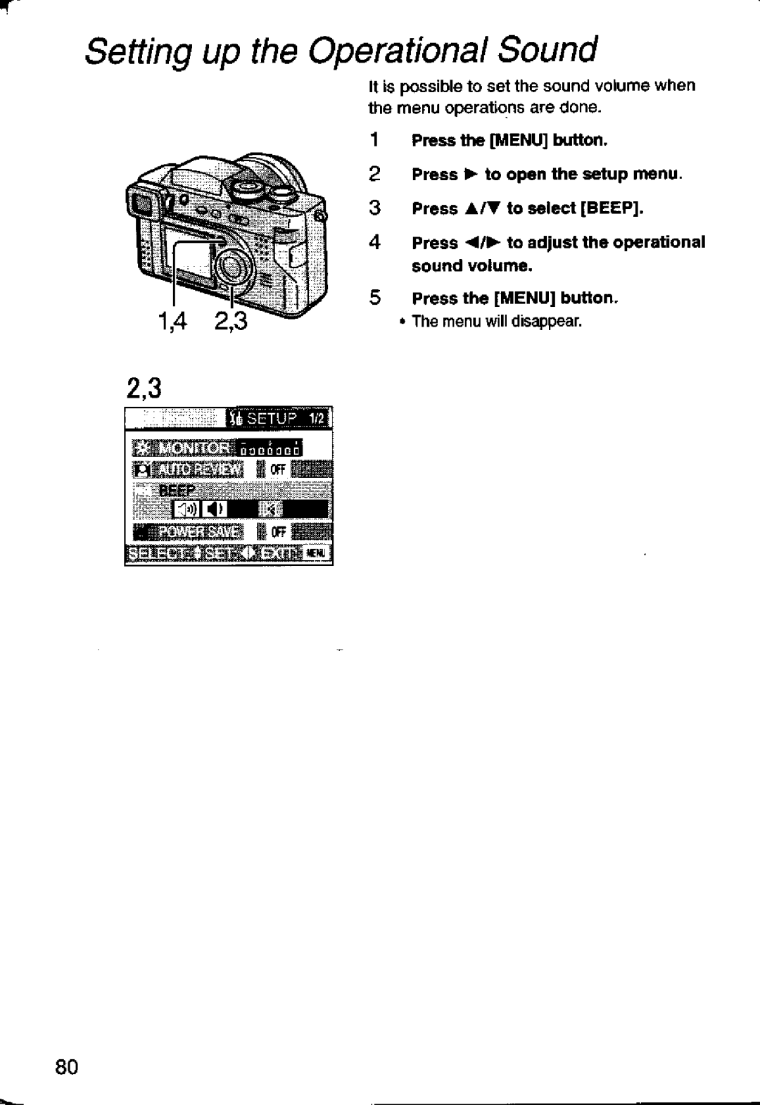 Panasonic DMC-FZ1A manual 