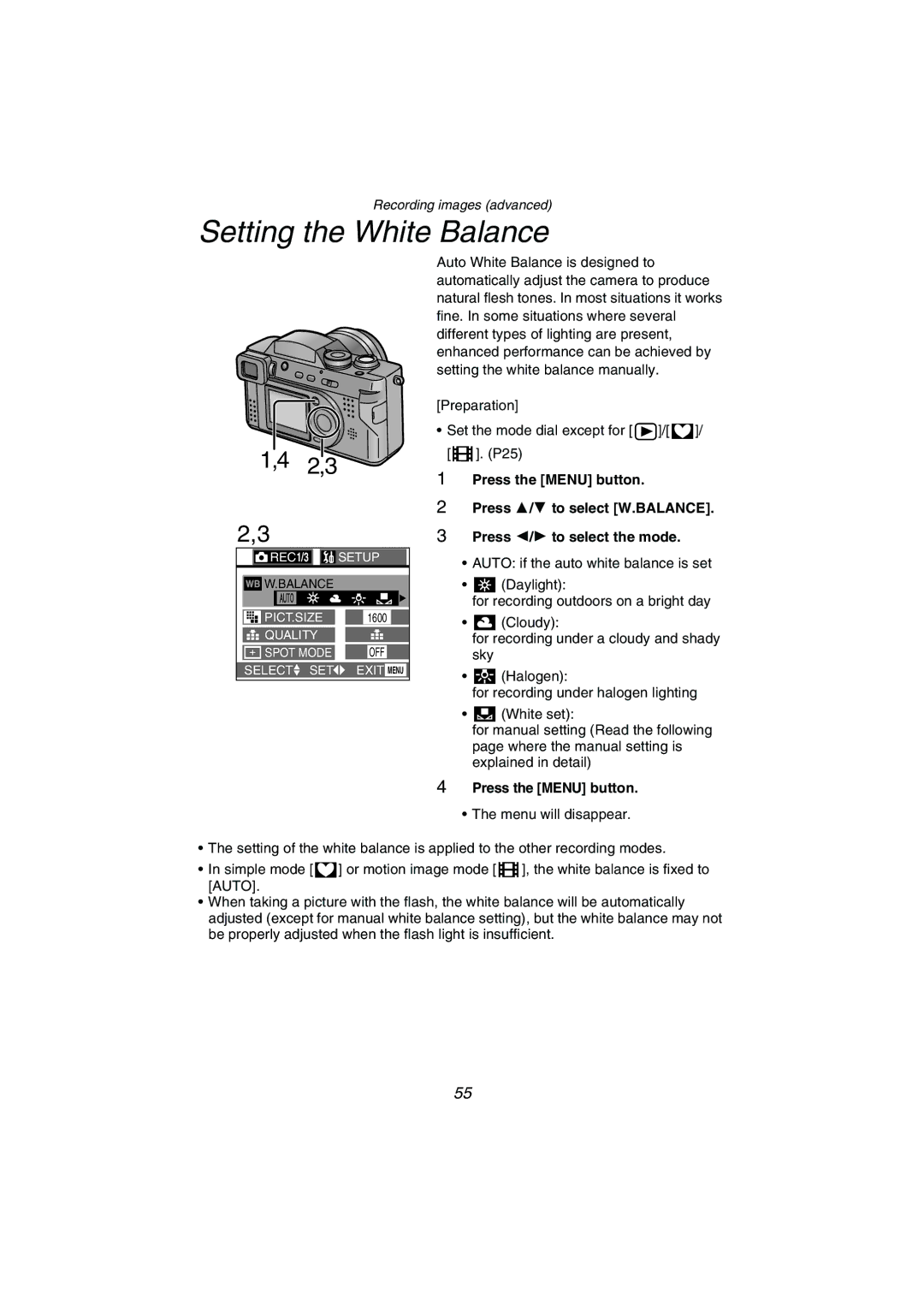 Panasonic DMC-FZ1PP operating instructions Setting the White Balance 