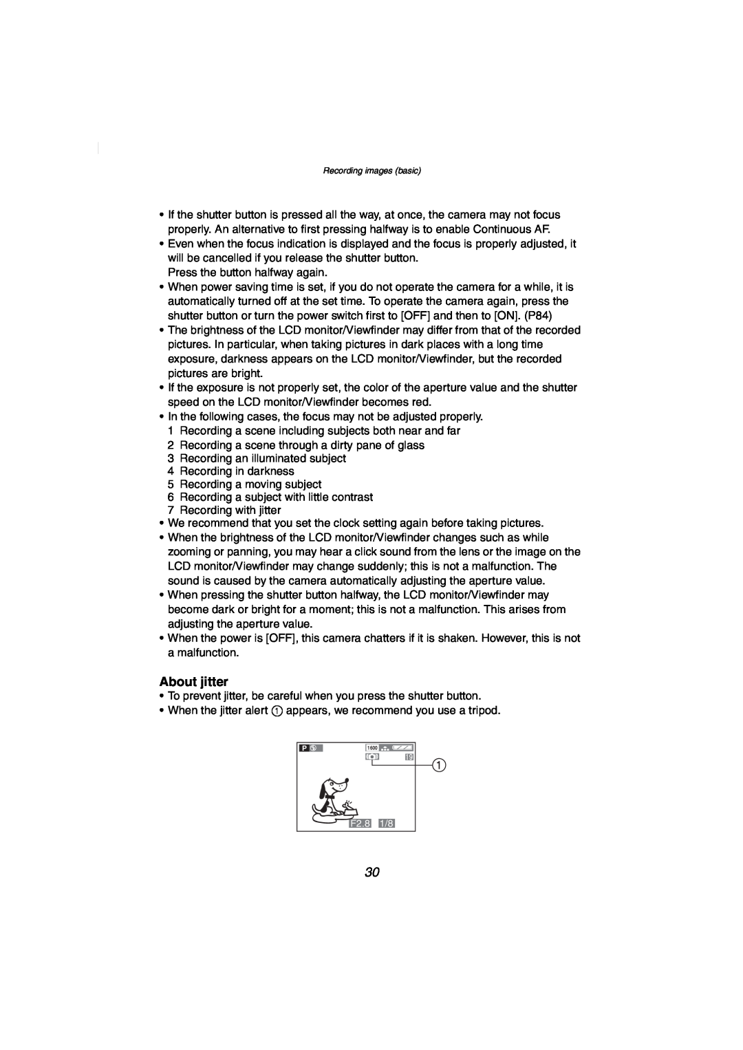 Panasonic DMC-FZ2PP operating instructions About jitter 