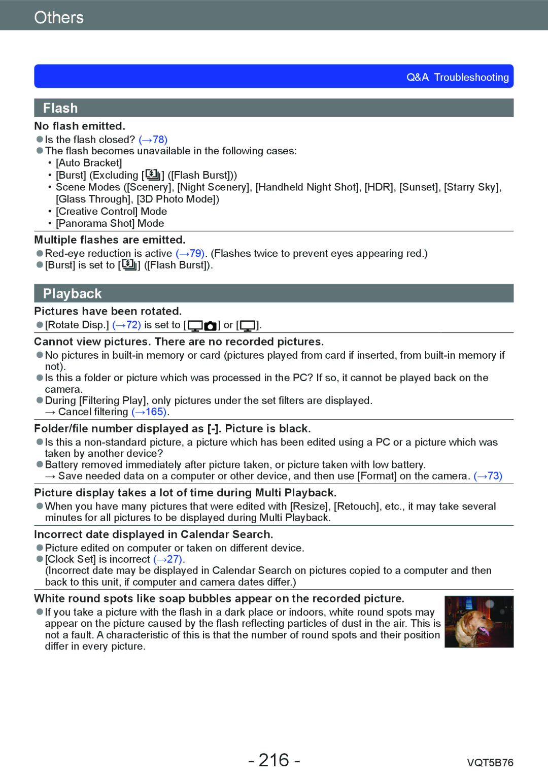 Panasonic DMC-FZ70 owner manual 216, Flash 