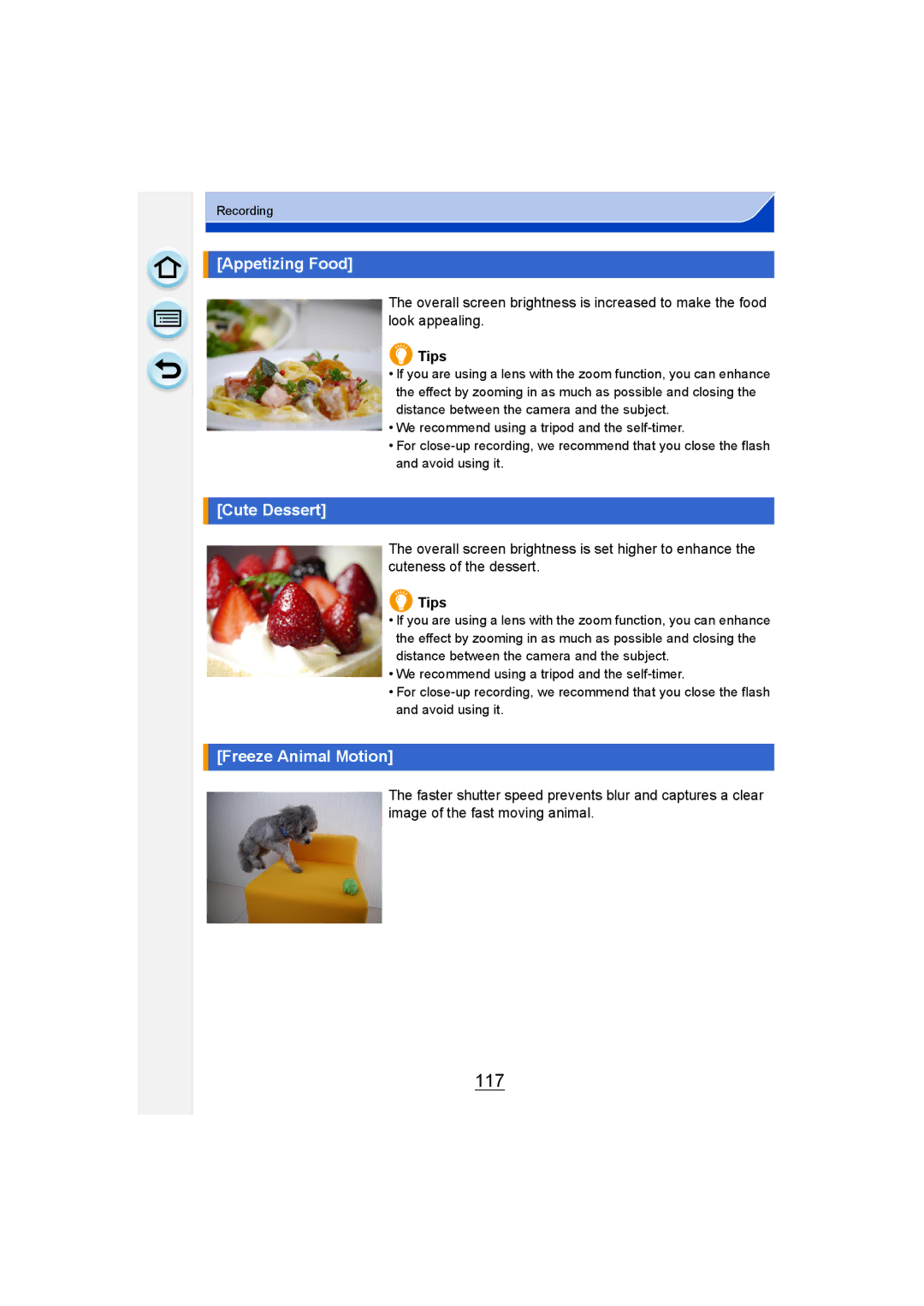 Panasonic DMC-G6 owner manual 117, Appetizing Food, Cute Dessert, Freeze Animal Motion 