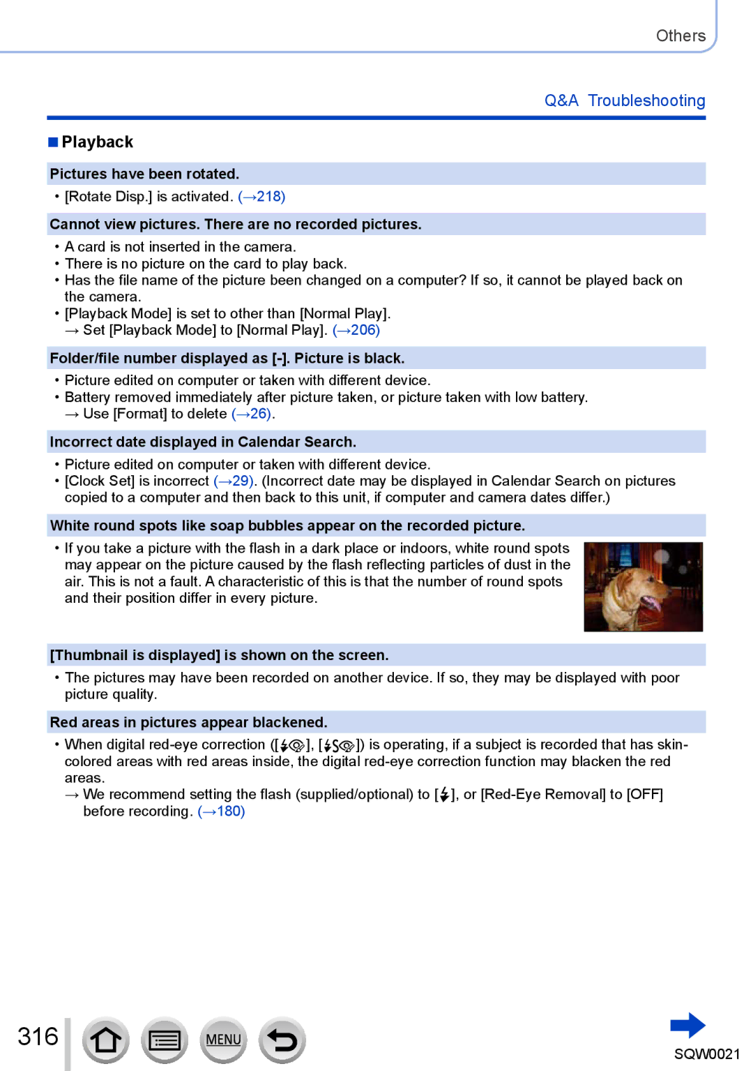 Panasonic DMC-LX100 owner manual 316 