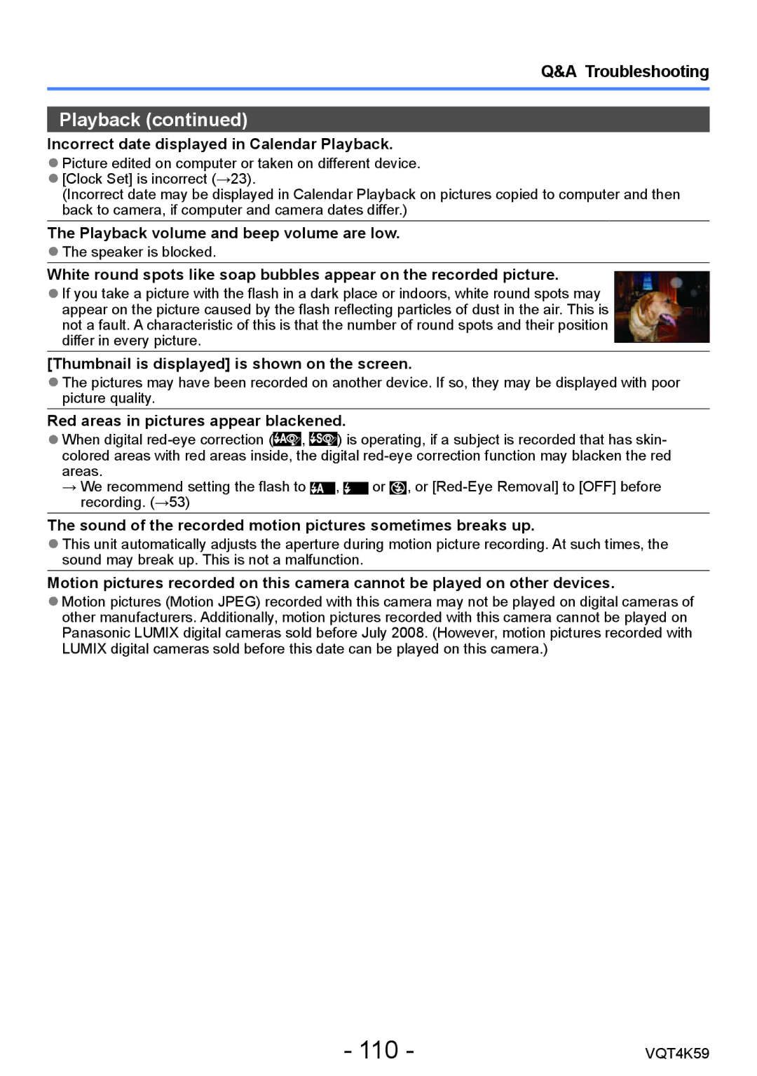 Panasonic DMC-LZ20 owner manual 110 