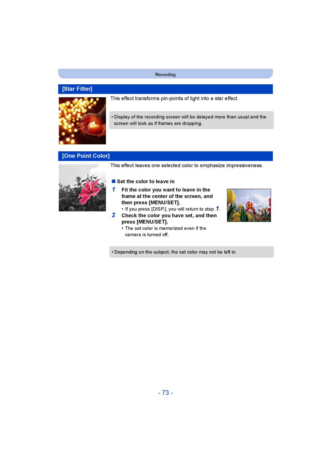 Panasonic DMC-LZ40 owner manual Star Filter, One Point Color, Set the color to leave 