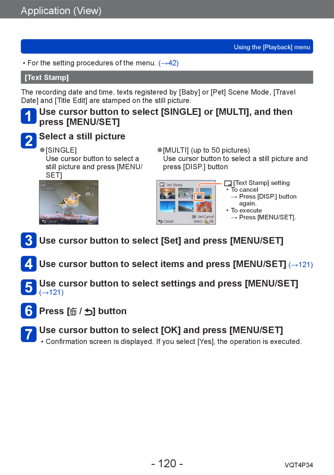 Panasonic DMC-TZ35 operating instructions 120, Text Stamp 