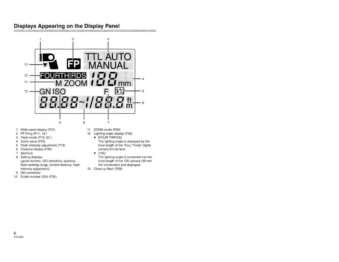 Panasonic DMW-FL500 manual 