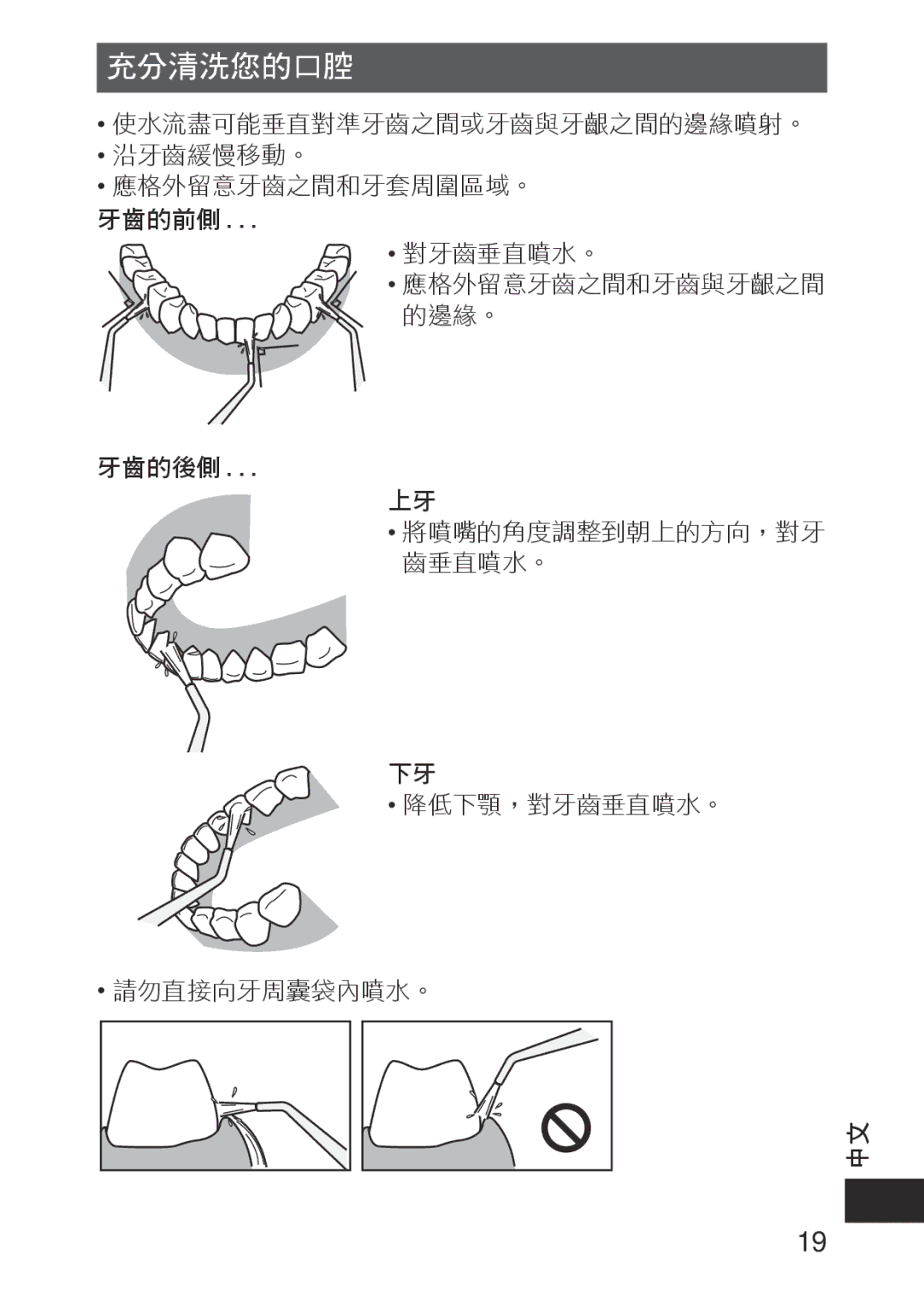 Panasonic EWDJ10A operating instructions 充分清洗您的口腔 