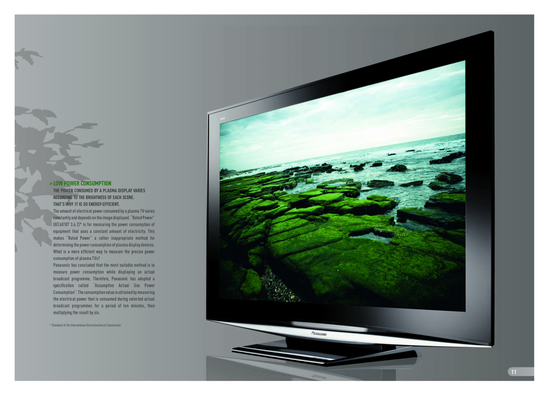 Panasonic Flat Screen TV manual Low Power Consumption, Standard of the International Electrotechnical Commission 
