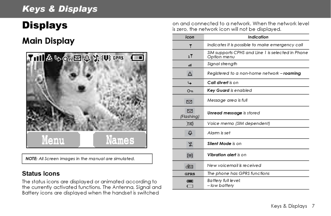 Panasonic G70 manual Displays, Main Display 