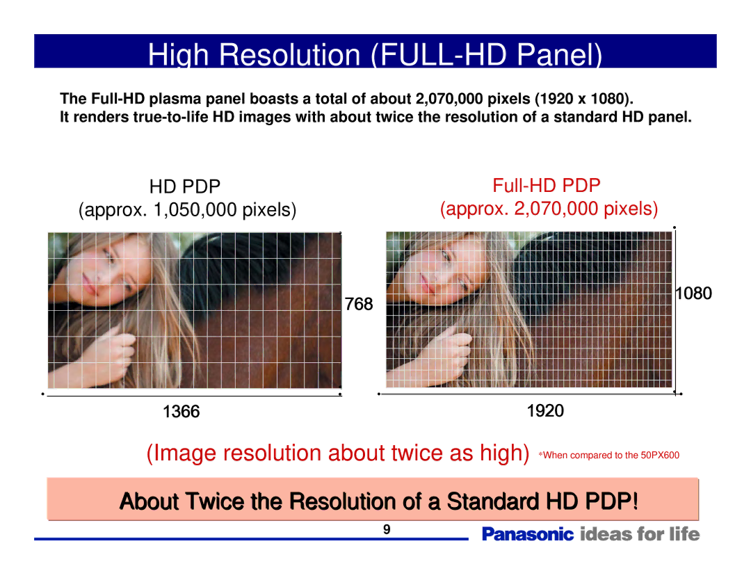 Panasonic Generation Plasma Display Television manual High Resolution FULL-HD Panel 