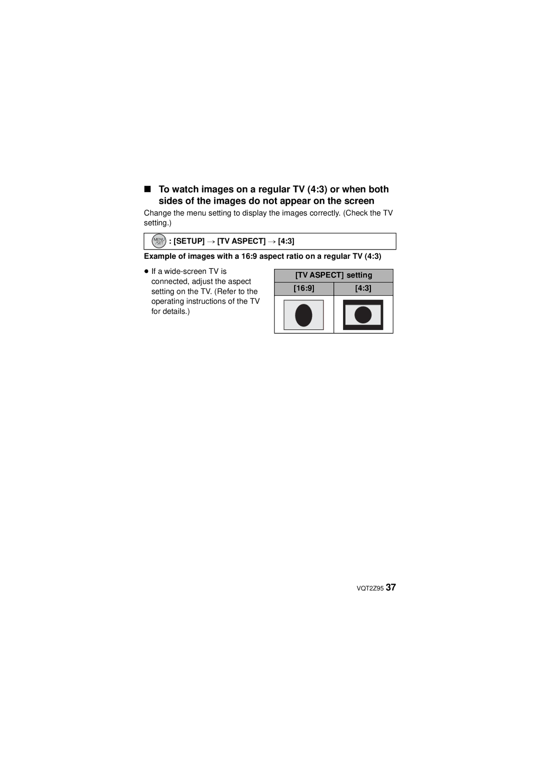 Panasonic VQT2Z95-1, HM-TA1, 1AG6P1P6073-S, 1AG6P1P6073-A operating instructions TV Aspect setting 169 